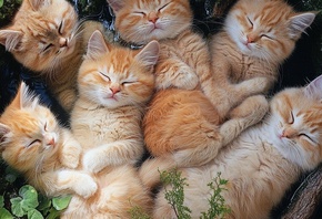 , , , ,  , , , , ,  ...