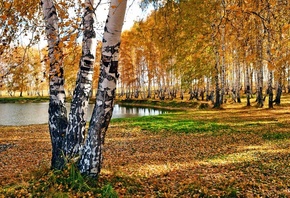 �����, �����, �����