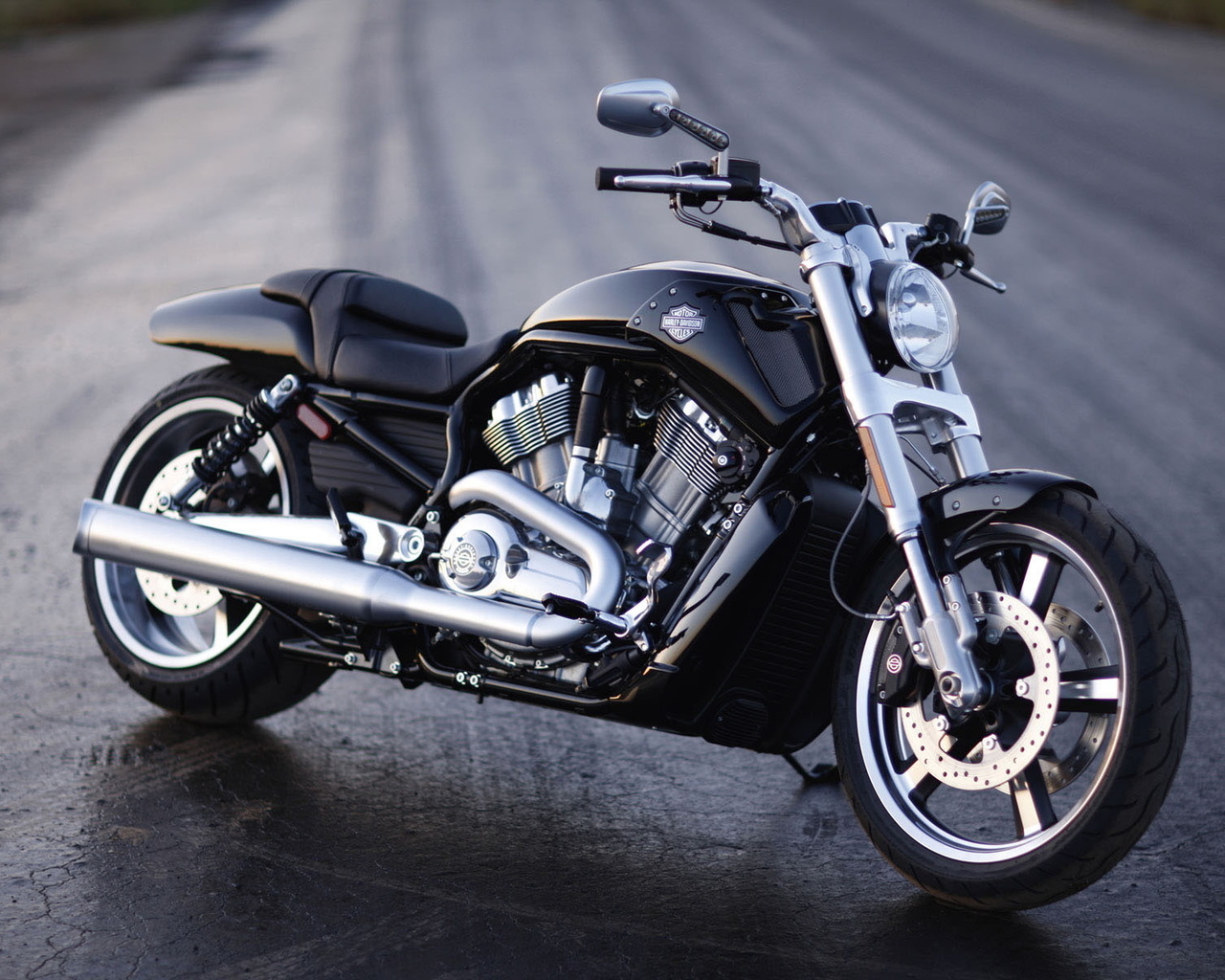  ,  , h-d, harley-davidson, v-rod