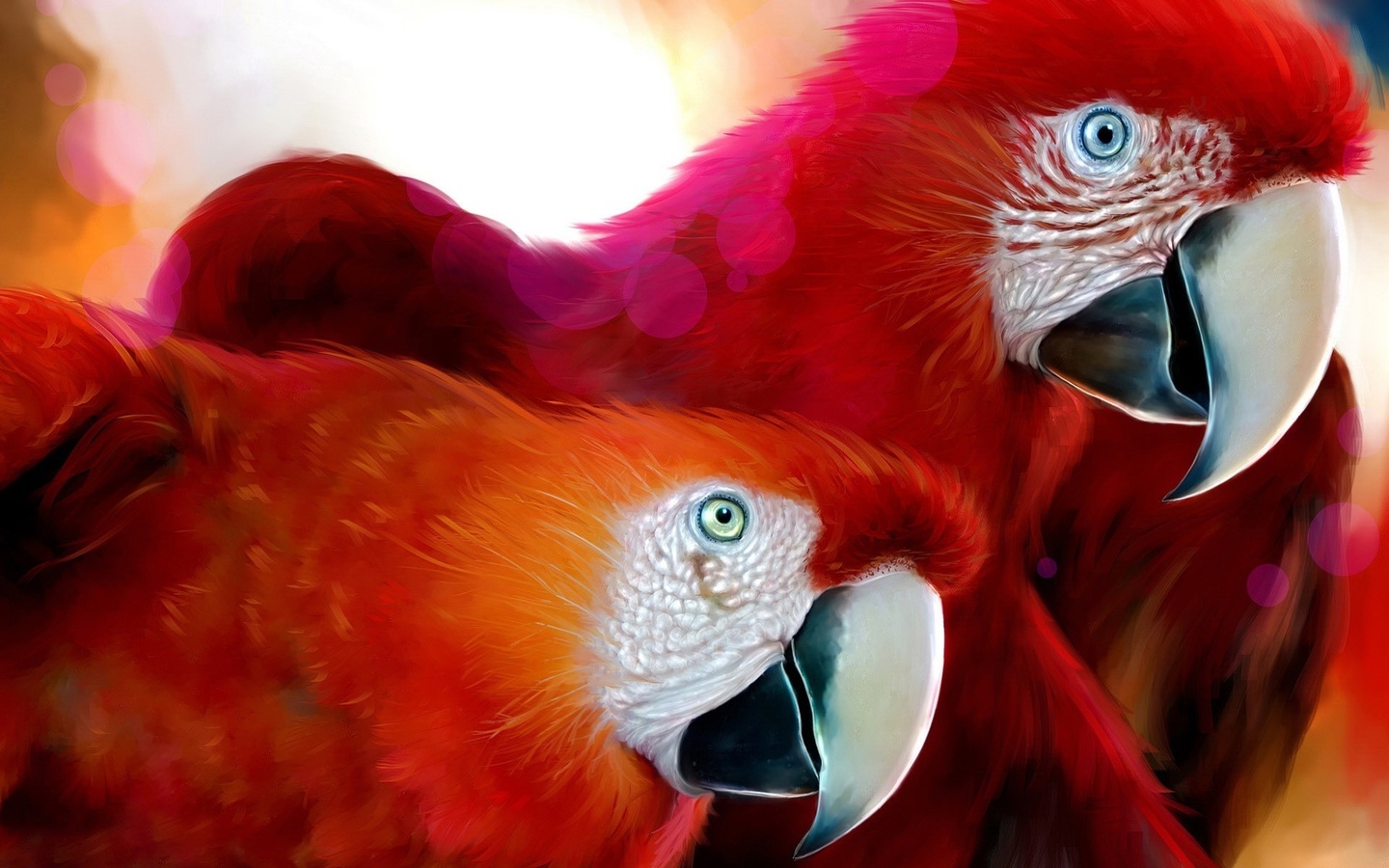 попугаи, белые морды, красные перья