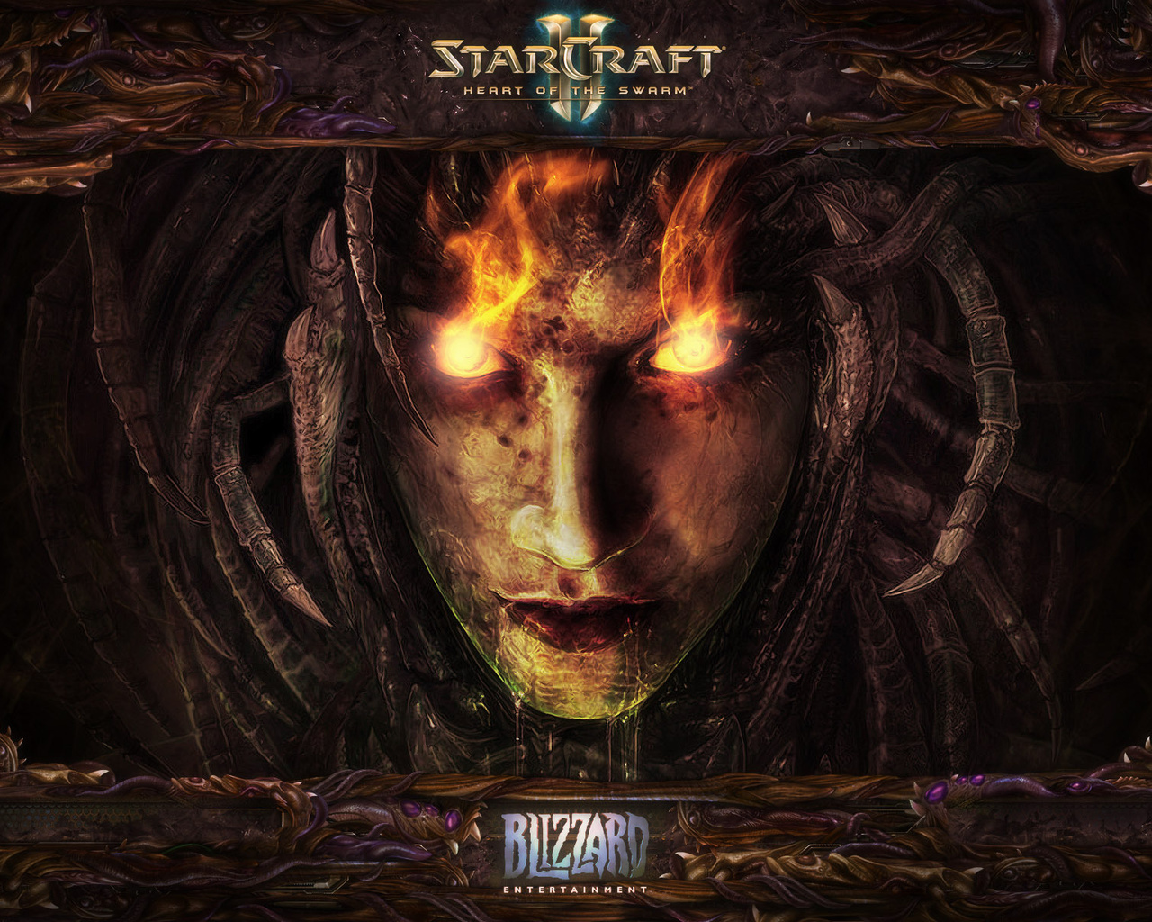 Starcraft 2, blizzard, , heart of the swarm