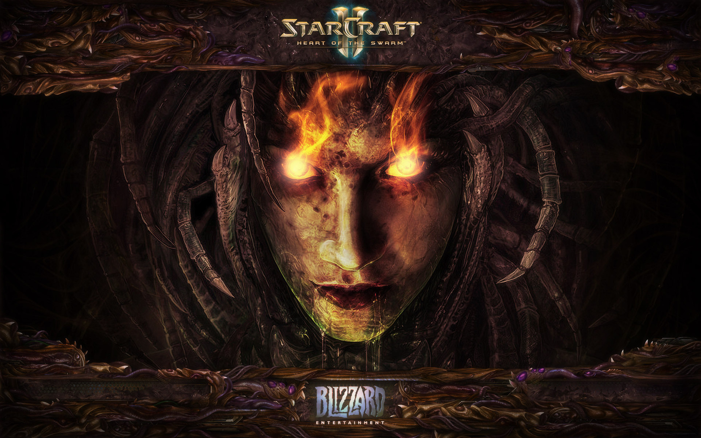 Starcraft 2, blizzard, , heart of the swarm