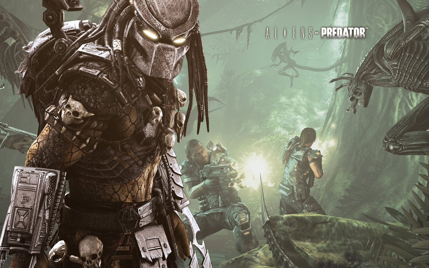 , aliens vs predator, , , , 