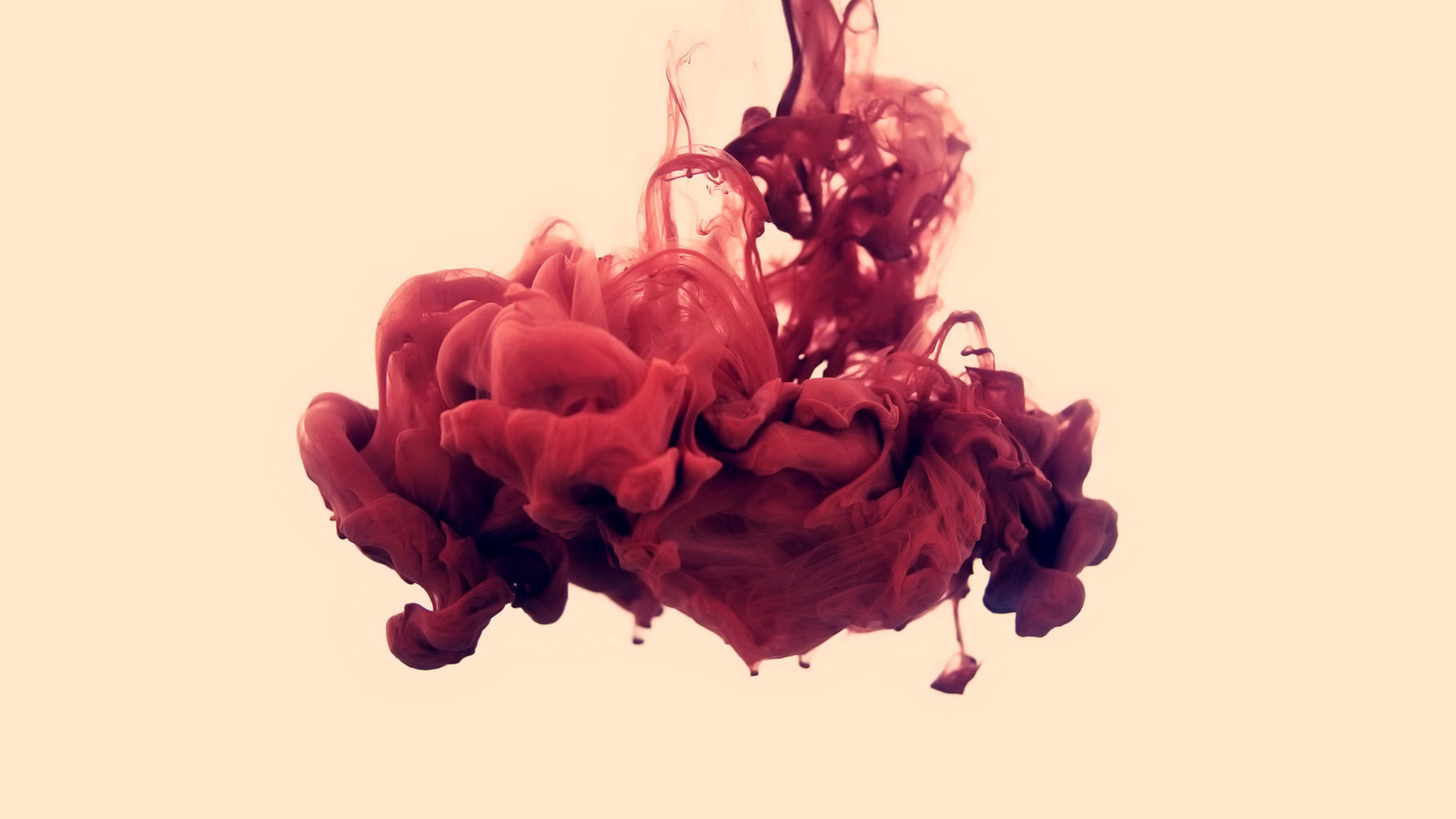 , , disastro ecologico, alberto seveso