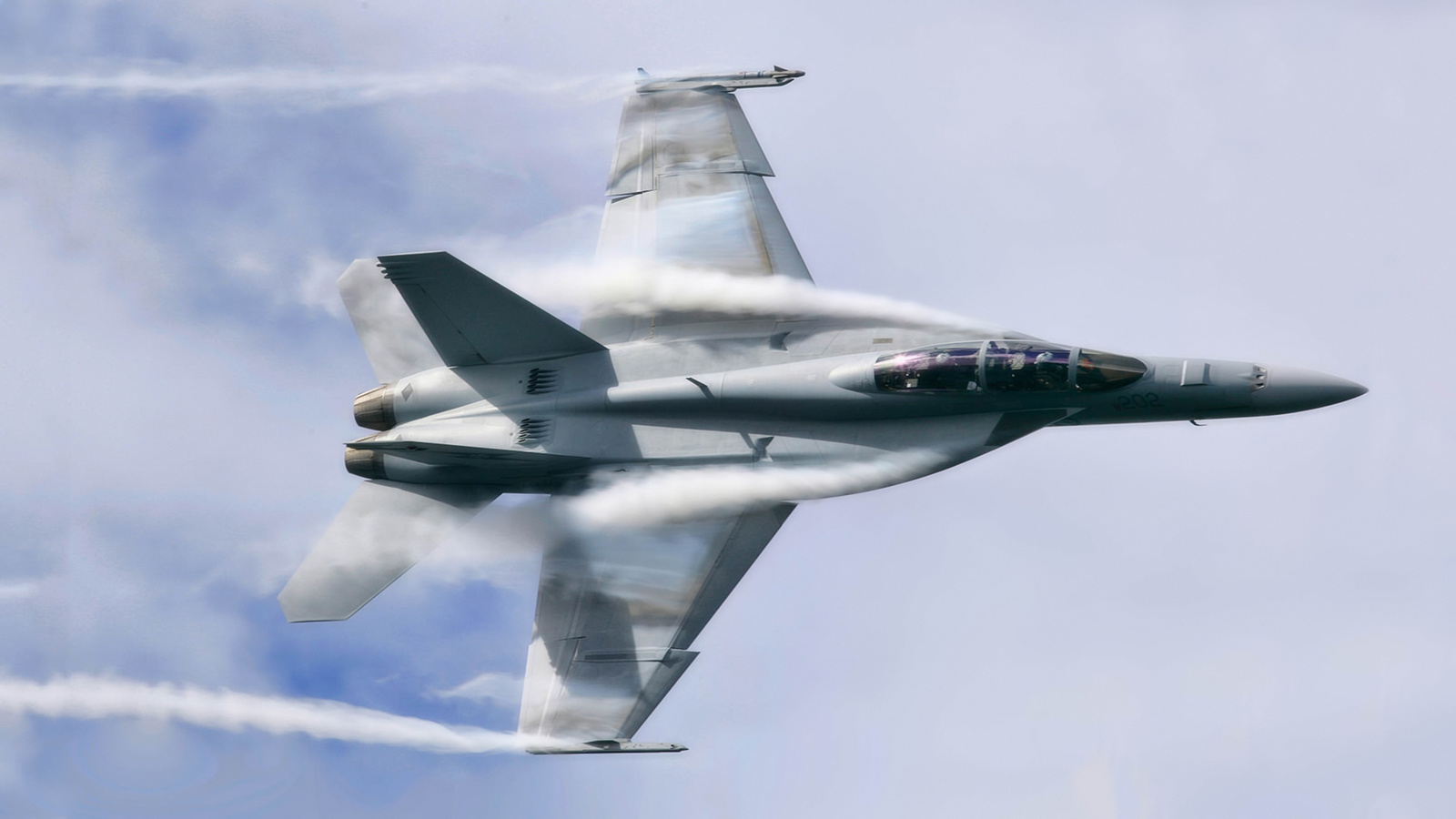 , , super hornet, , boeing fa-18ef, 