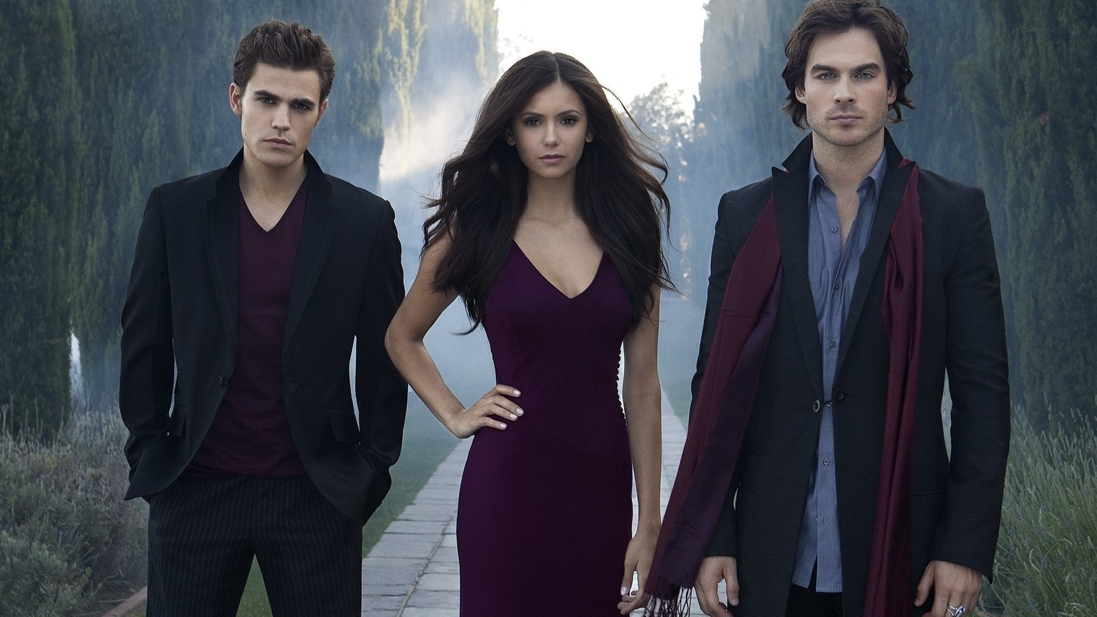 the vampire diaries,  , stefan, damon, elena, 