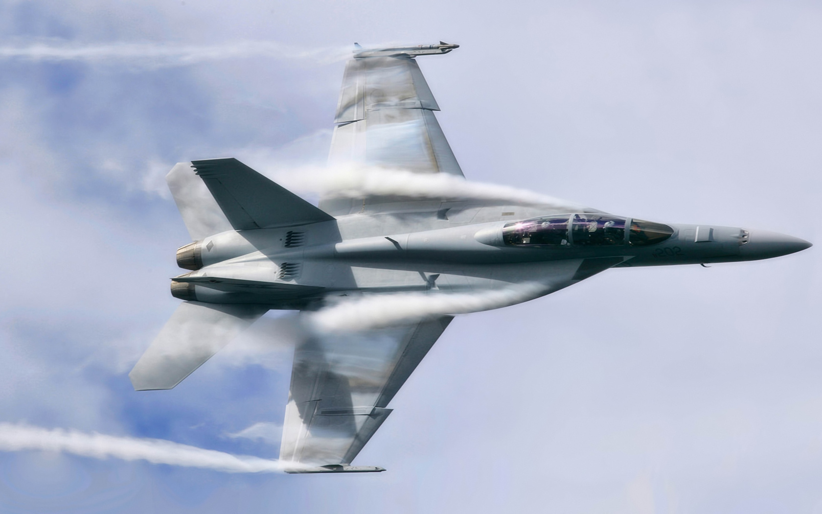 , , super hornet, , boeing fa-18ef, 