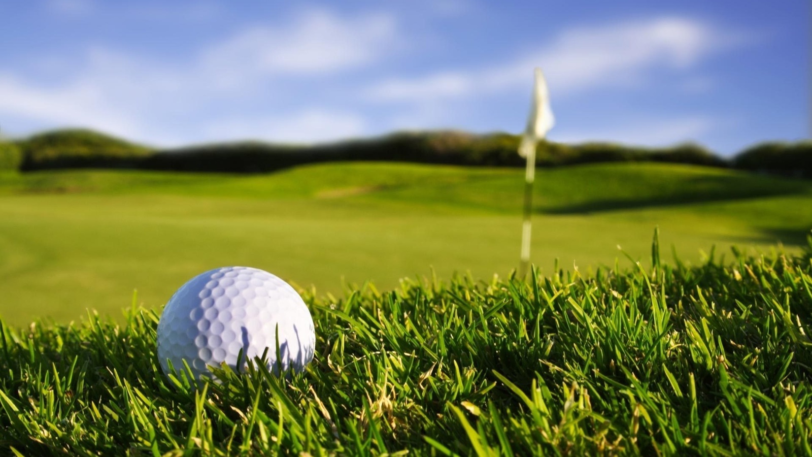 sport wallpapers, grass,   , , , macro, , golf, , , , , , 