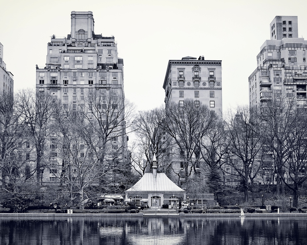 , new york,  , , -, central park