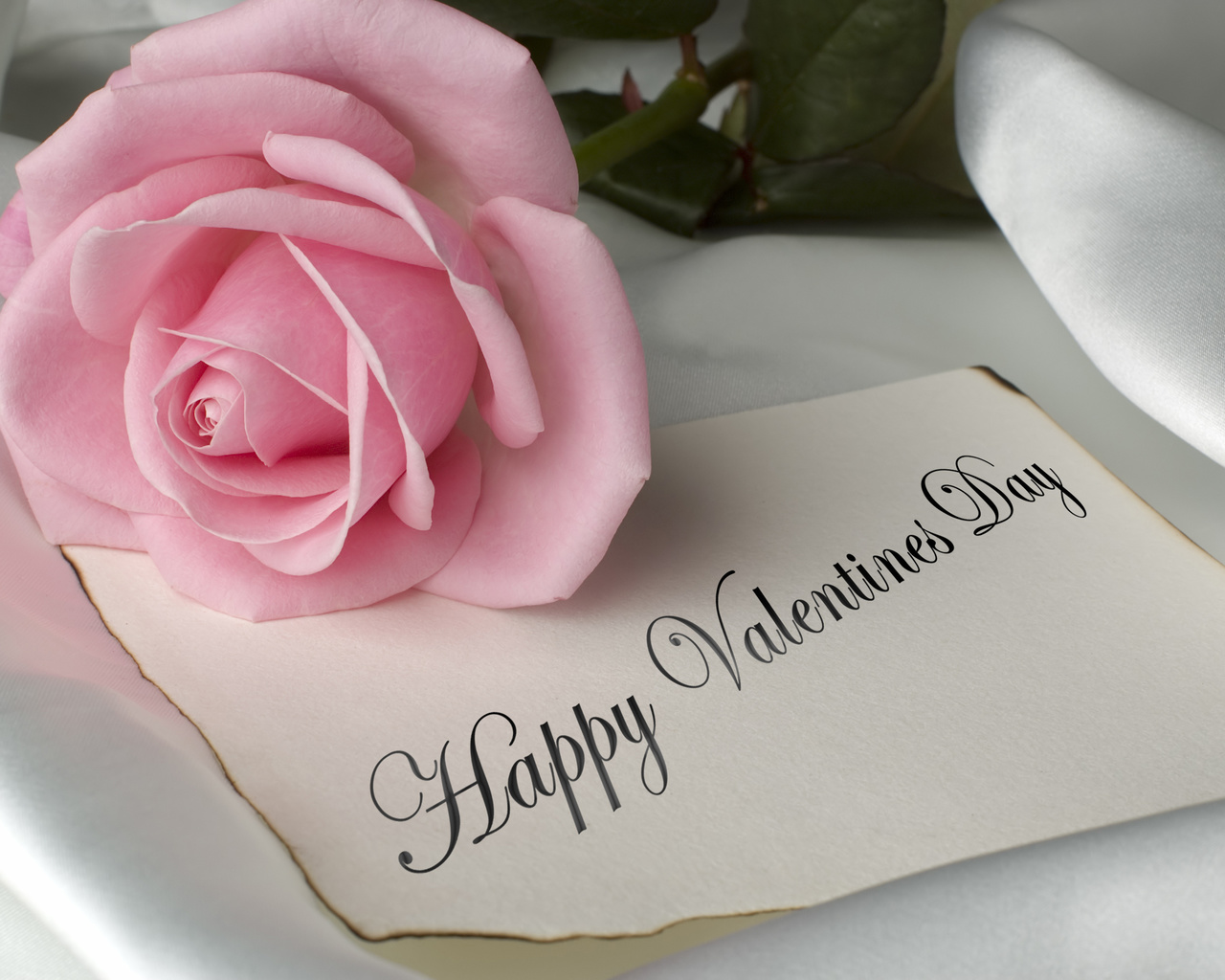 flowers, happy valentines day, pink, pink rose, pretty, romance, romantic, rose, valentines day, with love, ,    , ,  , , ,   ,  