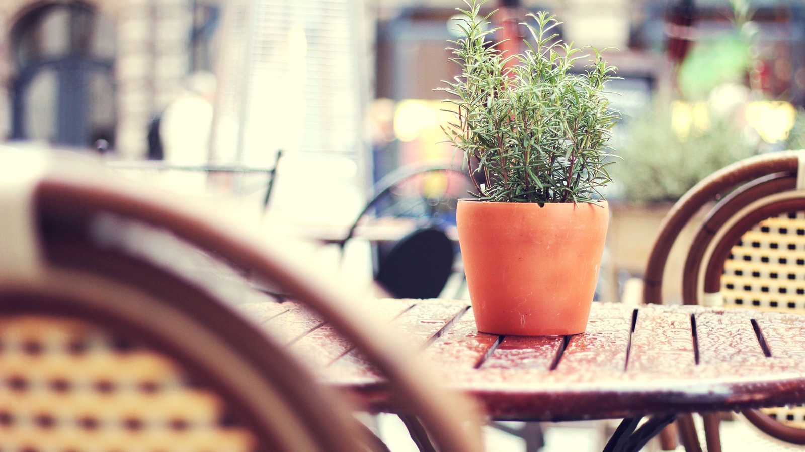 tilt-shift, city, Tea-garden, , street, , wicker chairs, after rain