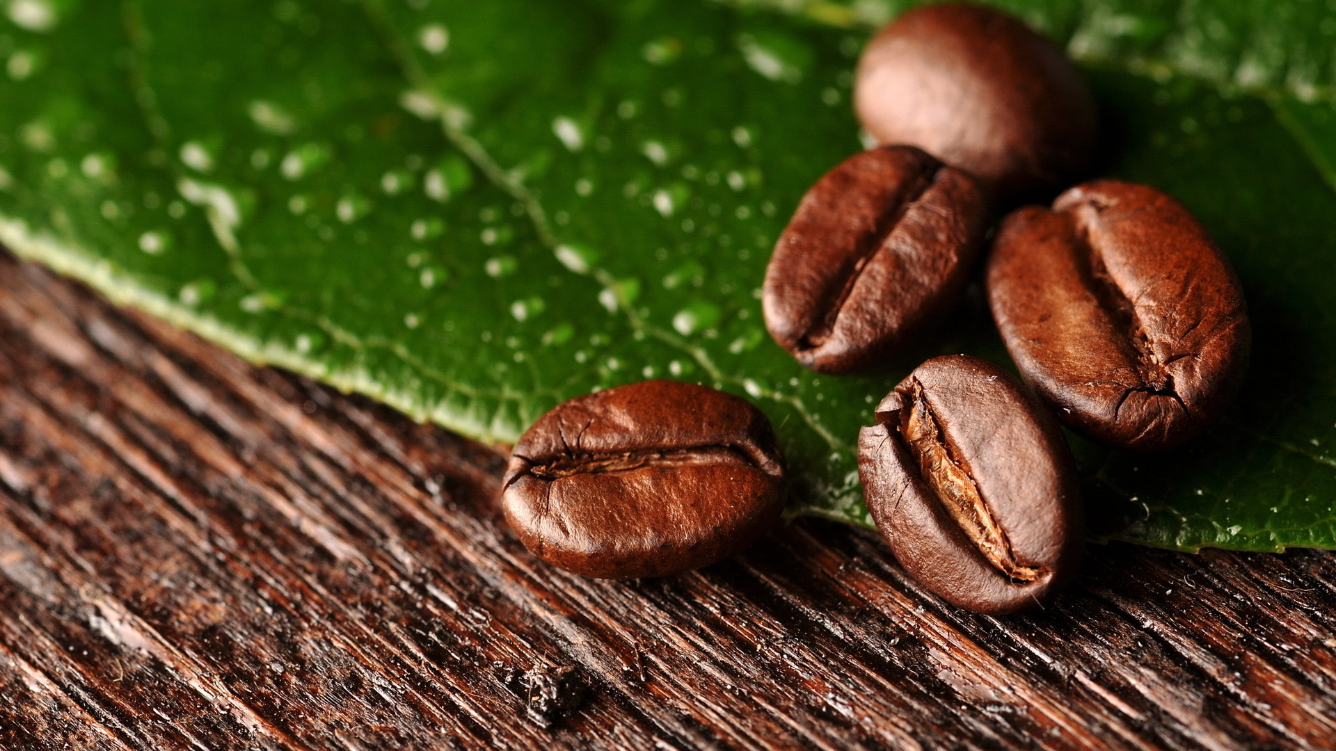 , , , leaf, beans, , coffee, macro