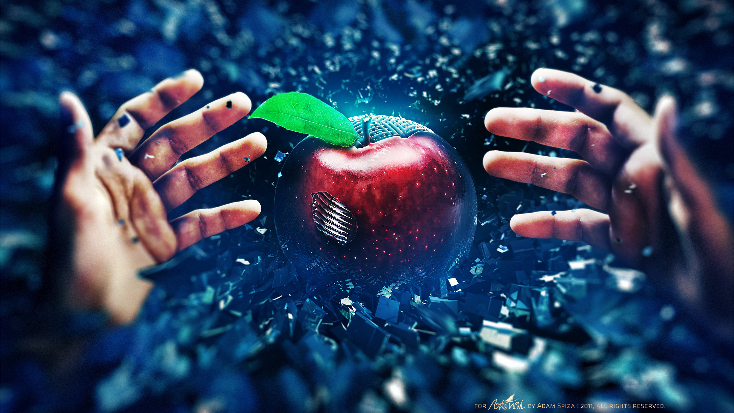 , seed, apple, , Bad, , 