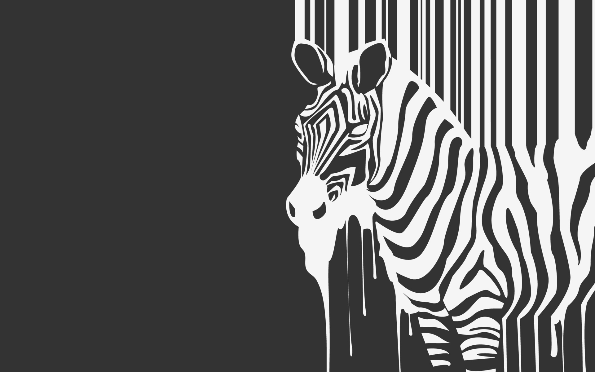 , , animal, zebra, , , 