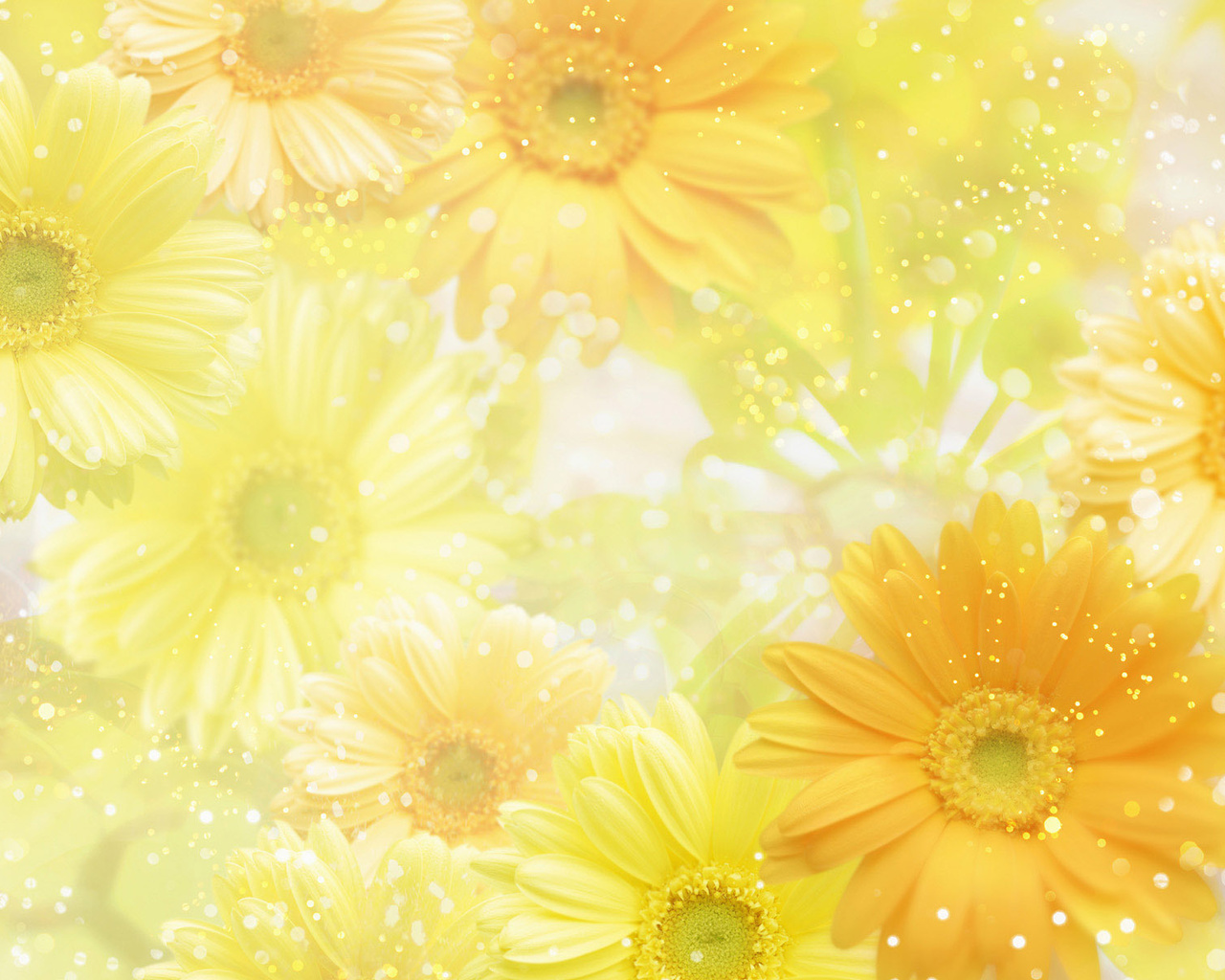 , , flowers, yellow, 