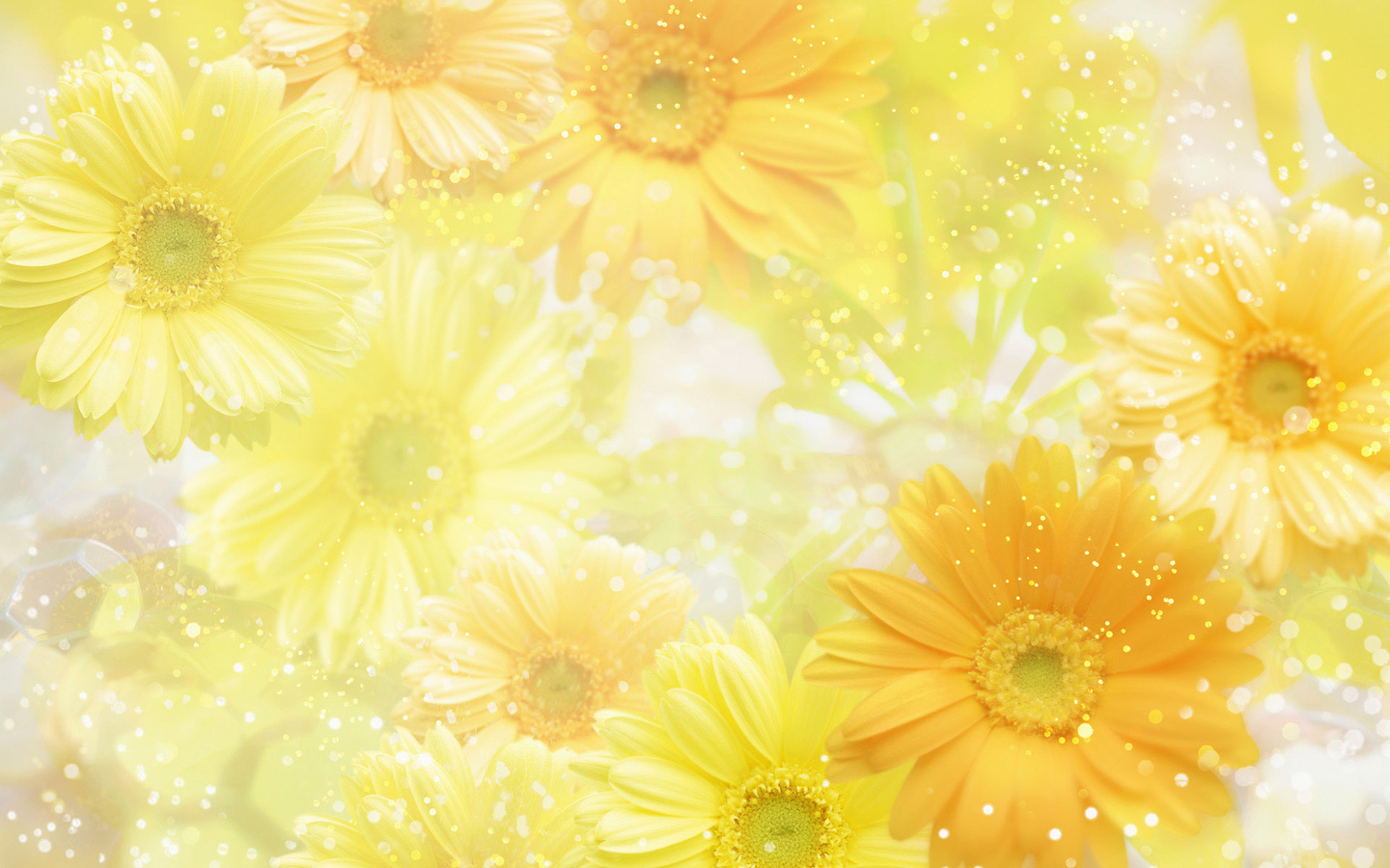 , , flowers, yellow, 