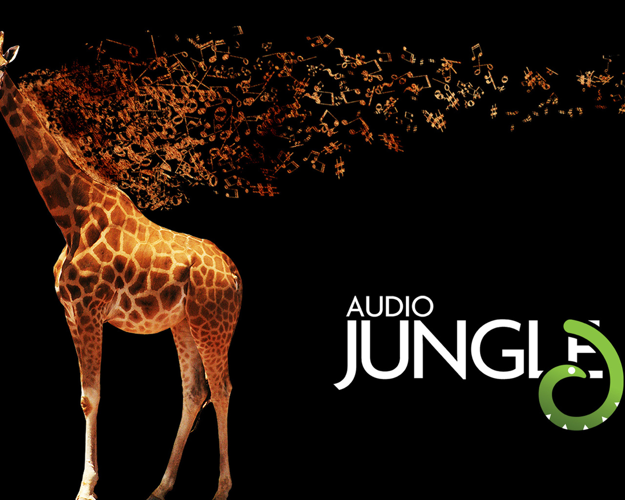 audio jungle, , giraffe, , , camelopard, 