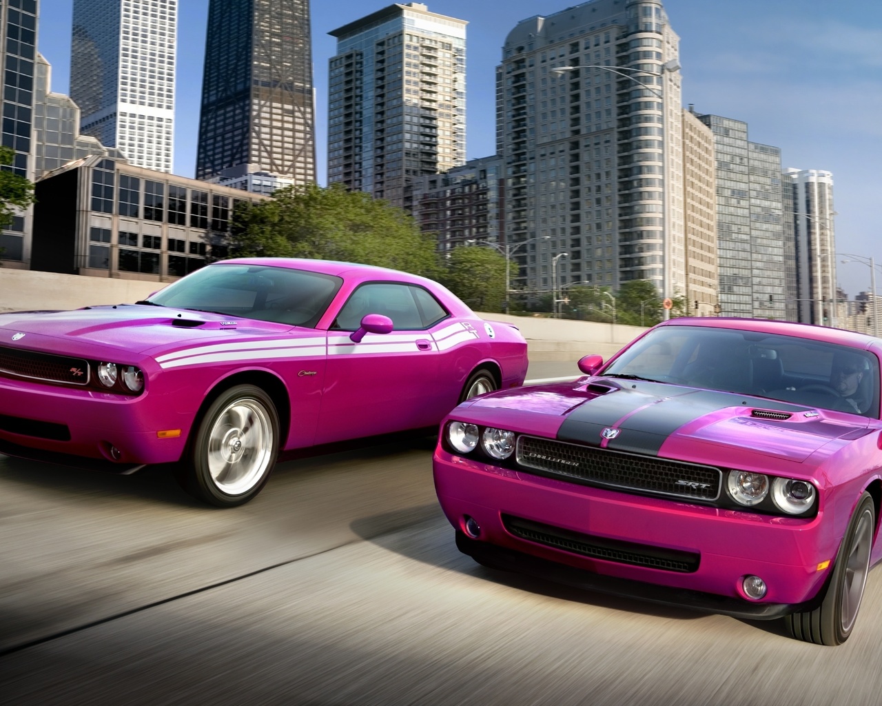 , , challenger rt, challenger srt, Dodge