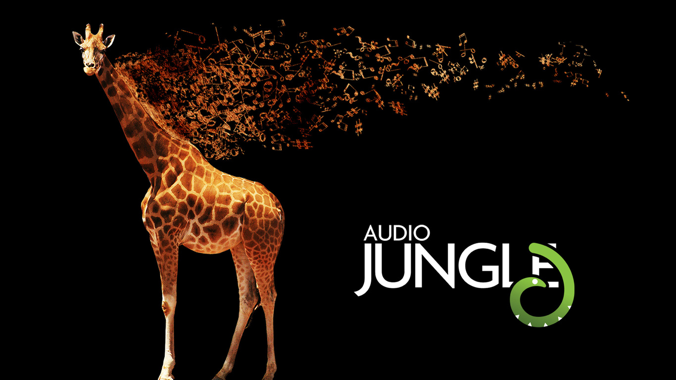 audio jungle, , giraffe, , , camelopard, 