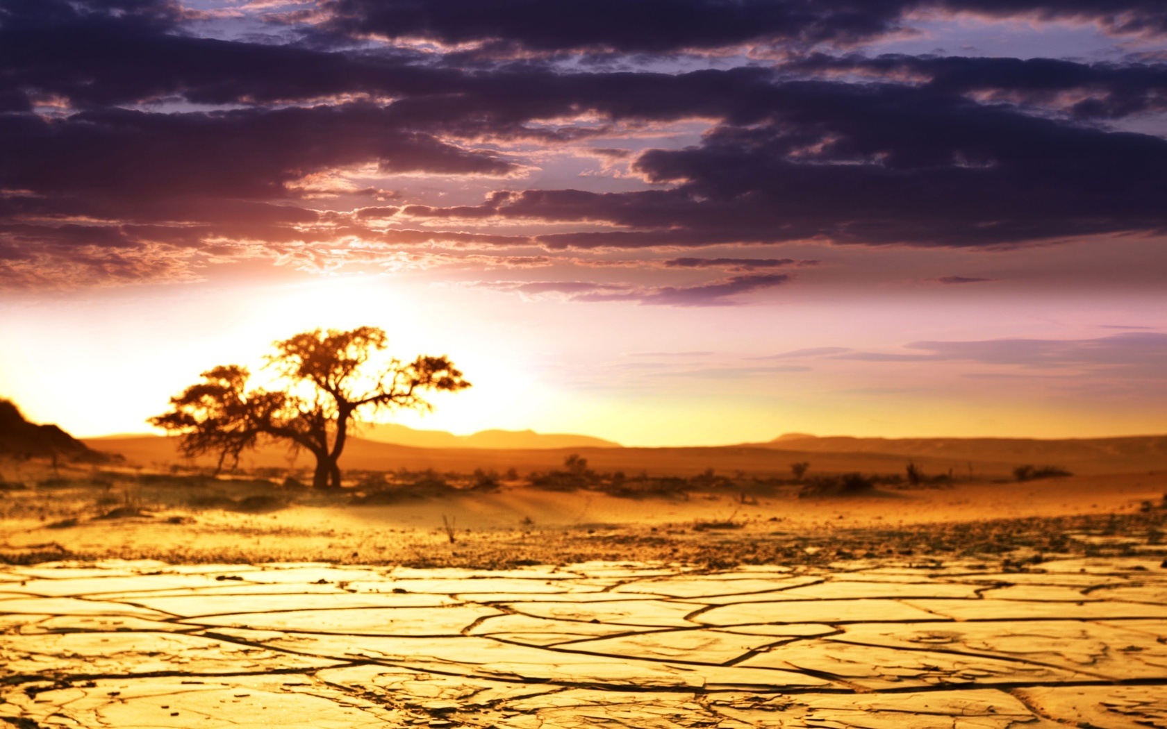 , sunrise, , , , , African landscape
