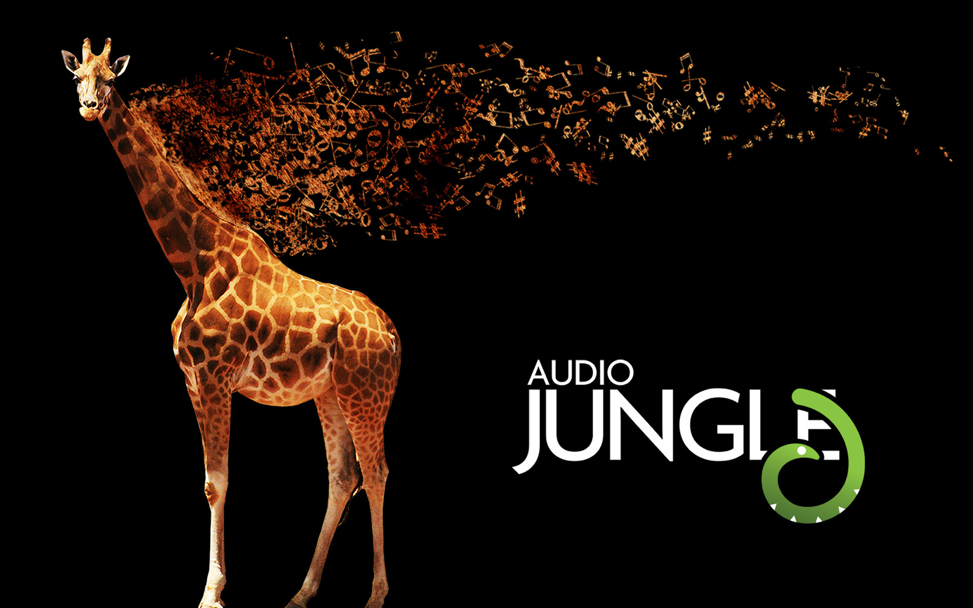 audio jungle, , giraffe, , , camelopard, 