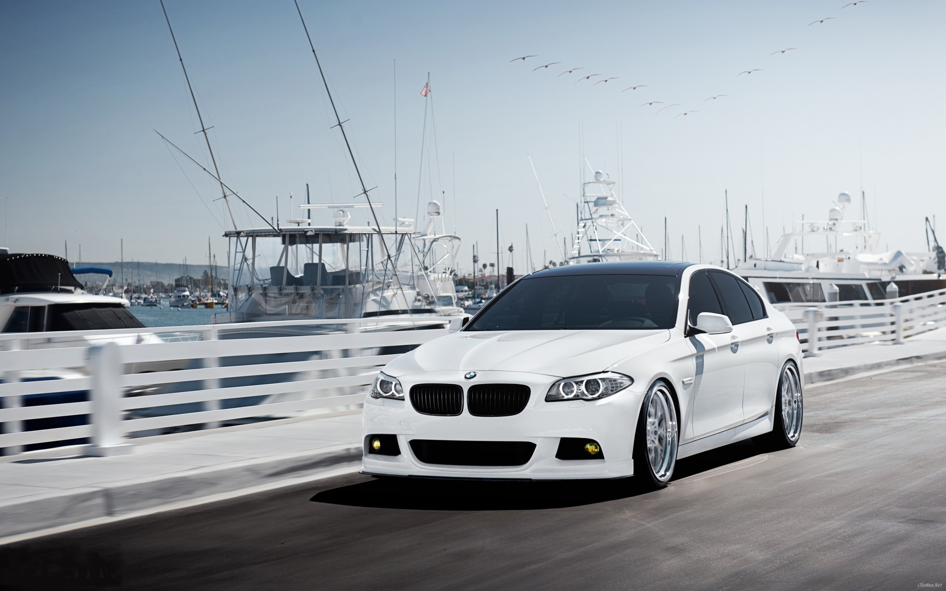 bmw, -5