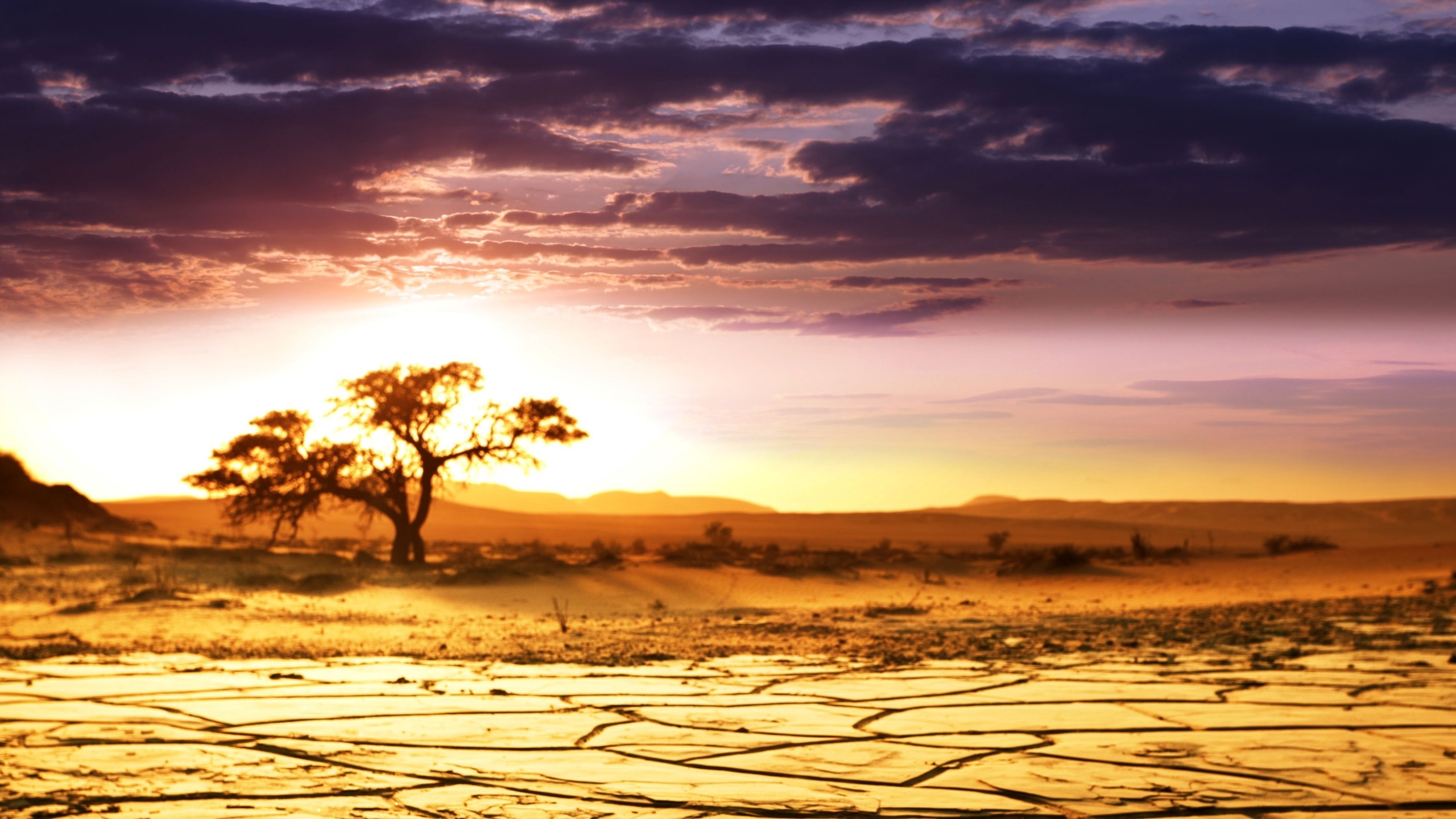 , sunrise, , , , , African landscape