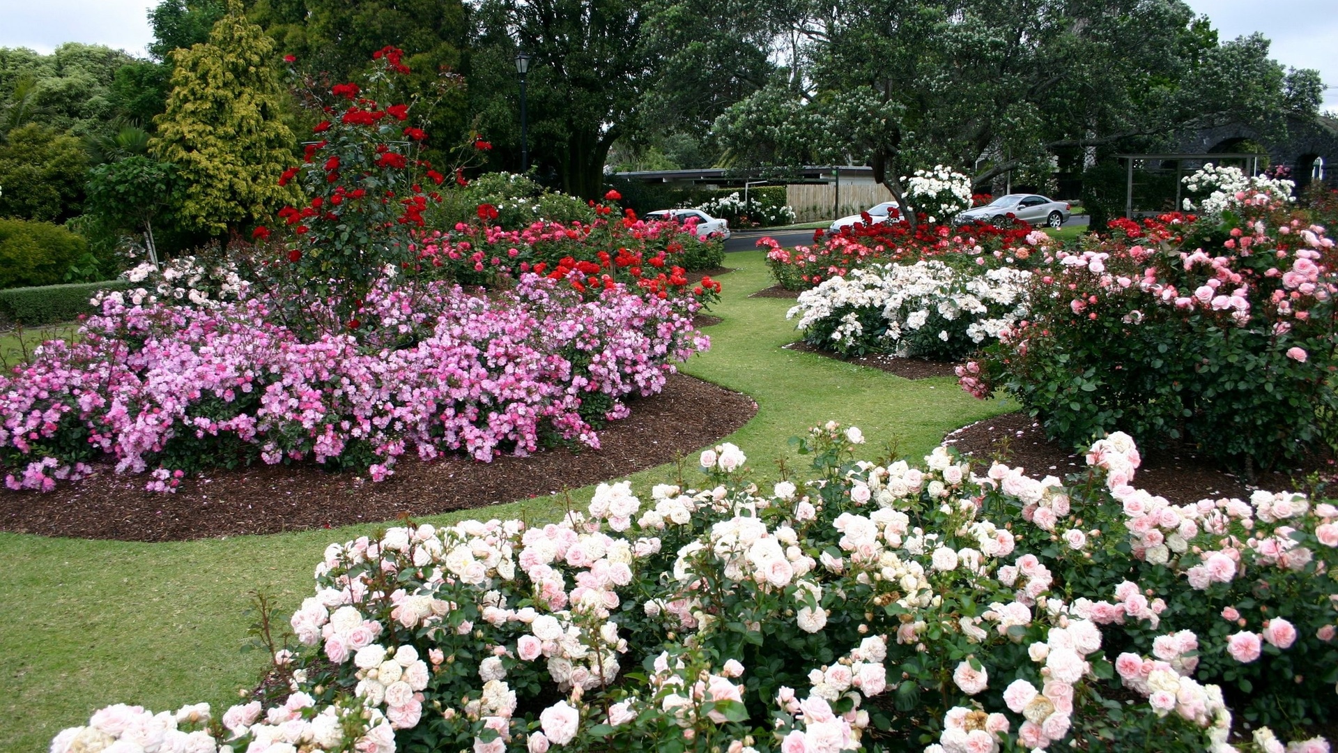 parnell rose gardens,  , 