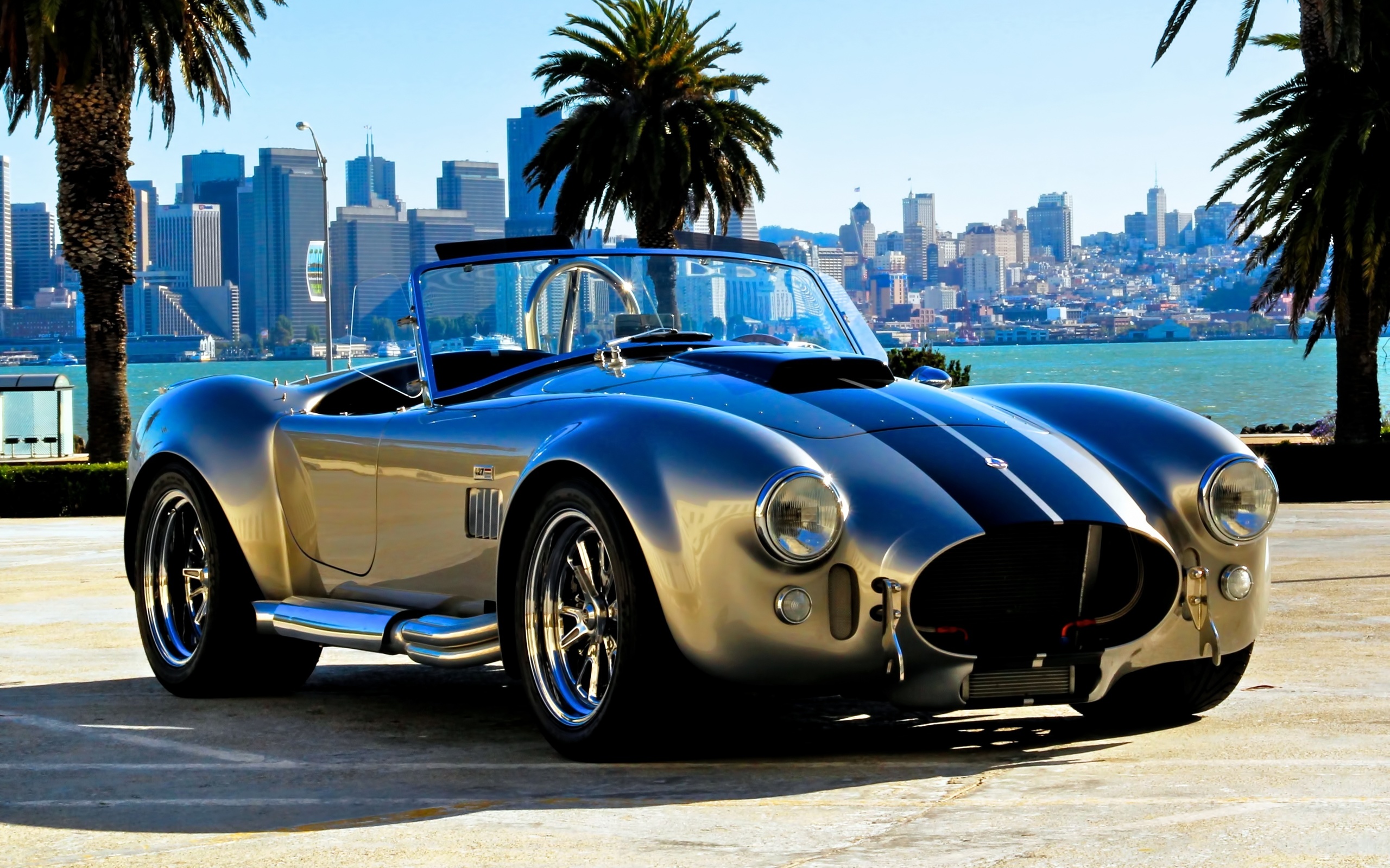 cobra, roadster, auto, supercars, cobra, wallpapers auto, ac, cars