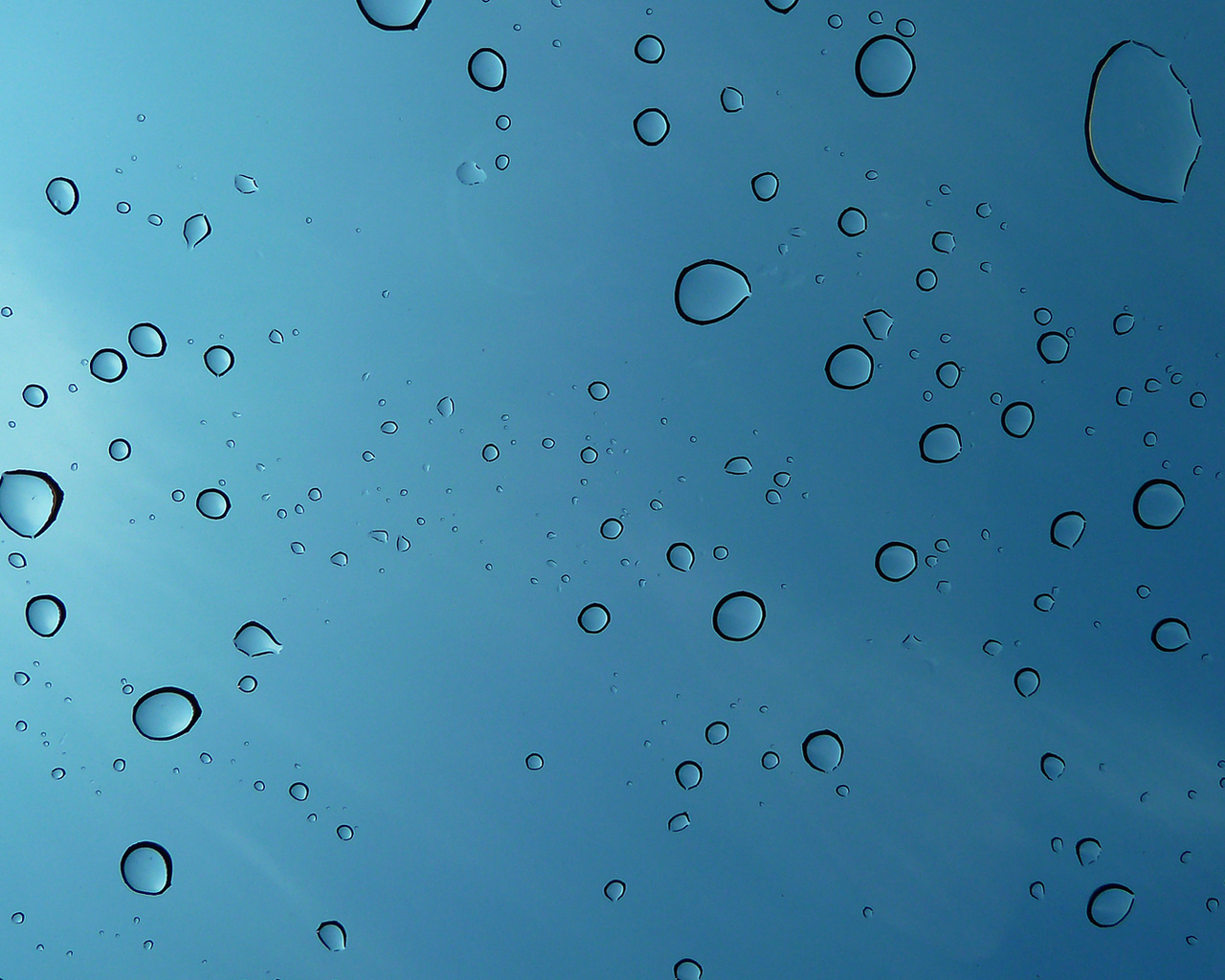 macro, , water drops, 1920x1080, , 