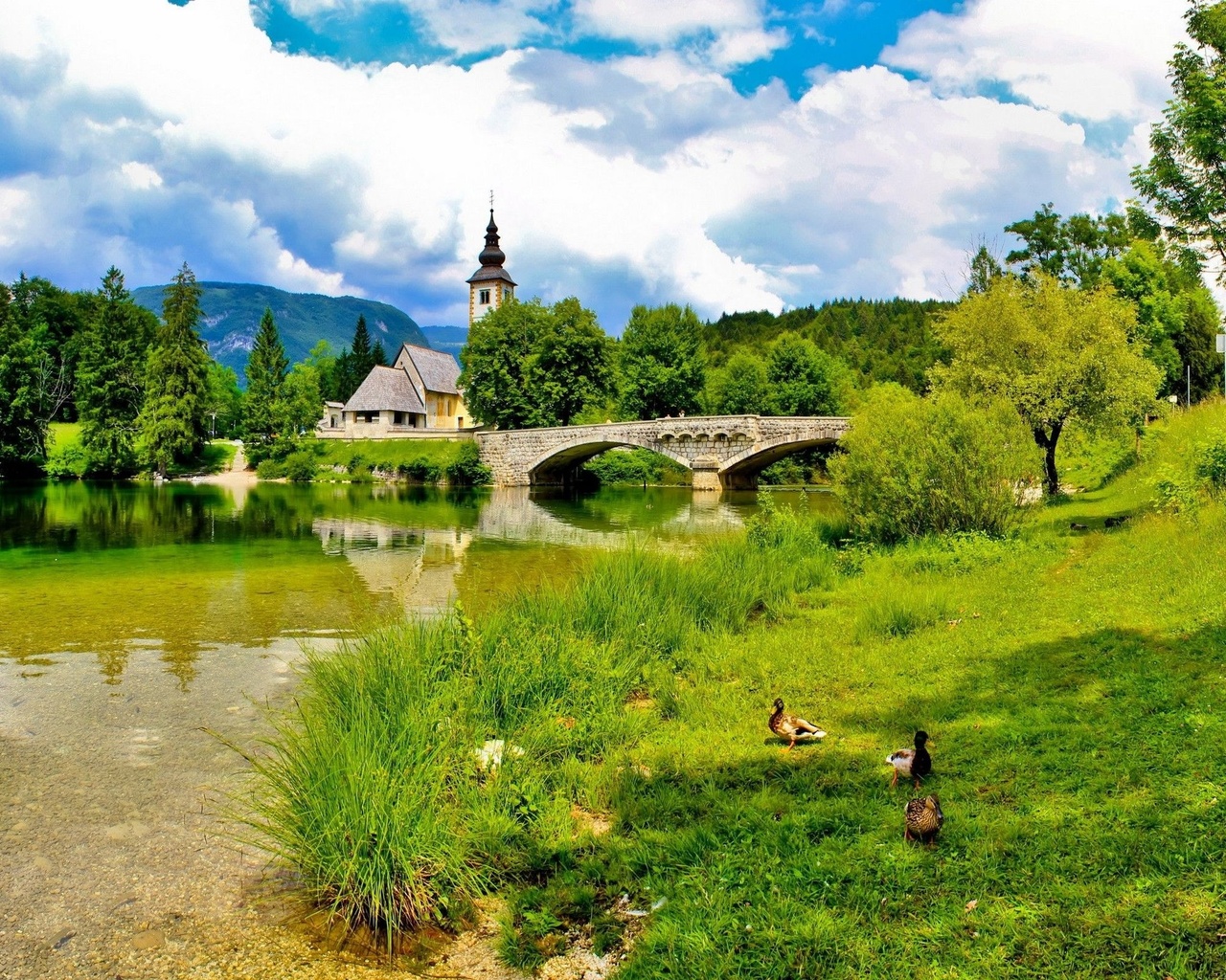 словения, bohinj, природа, пейзаж, река, мост