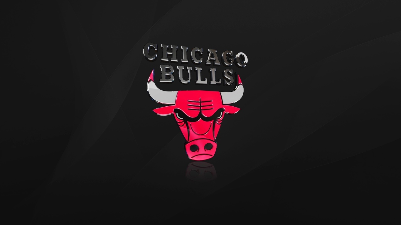 , , Chicago bulls, , nba, , 