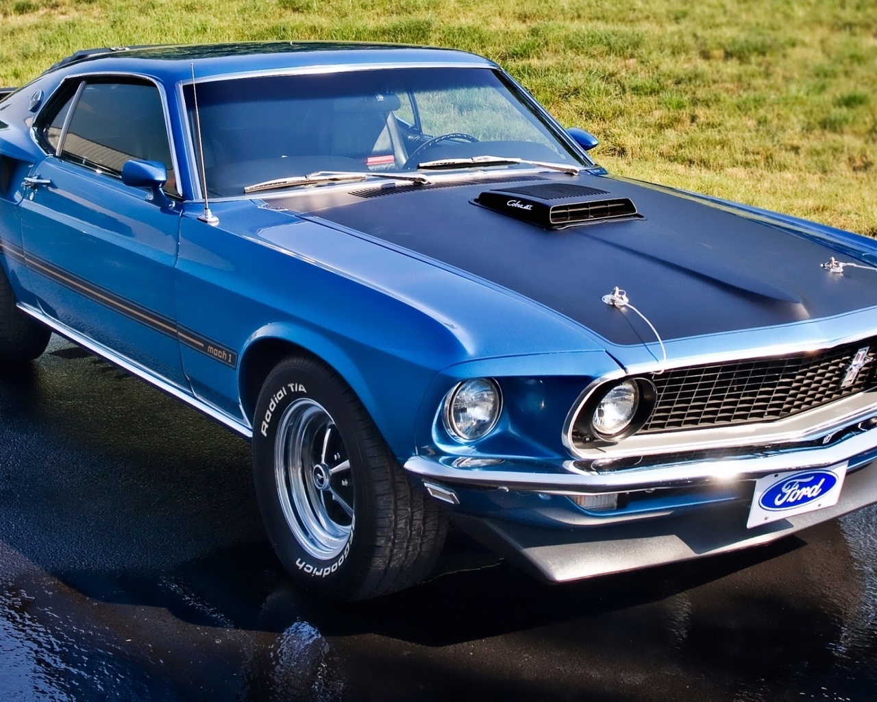 , , muscle car, 1969, mach 1, , Ford, , mustang