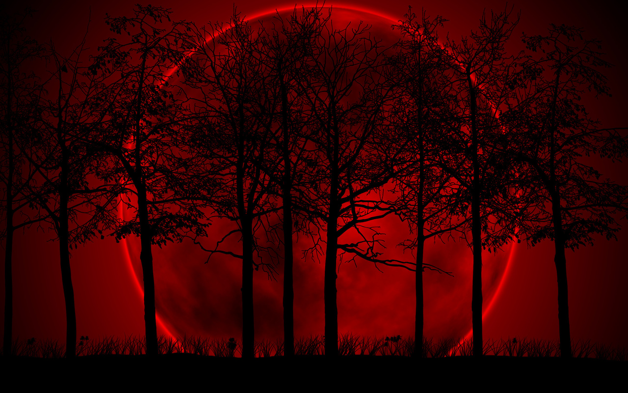 blood, red, moon