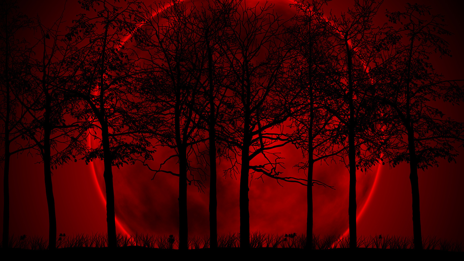blood, red, moon