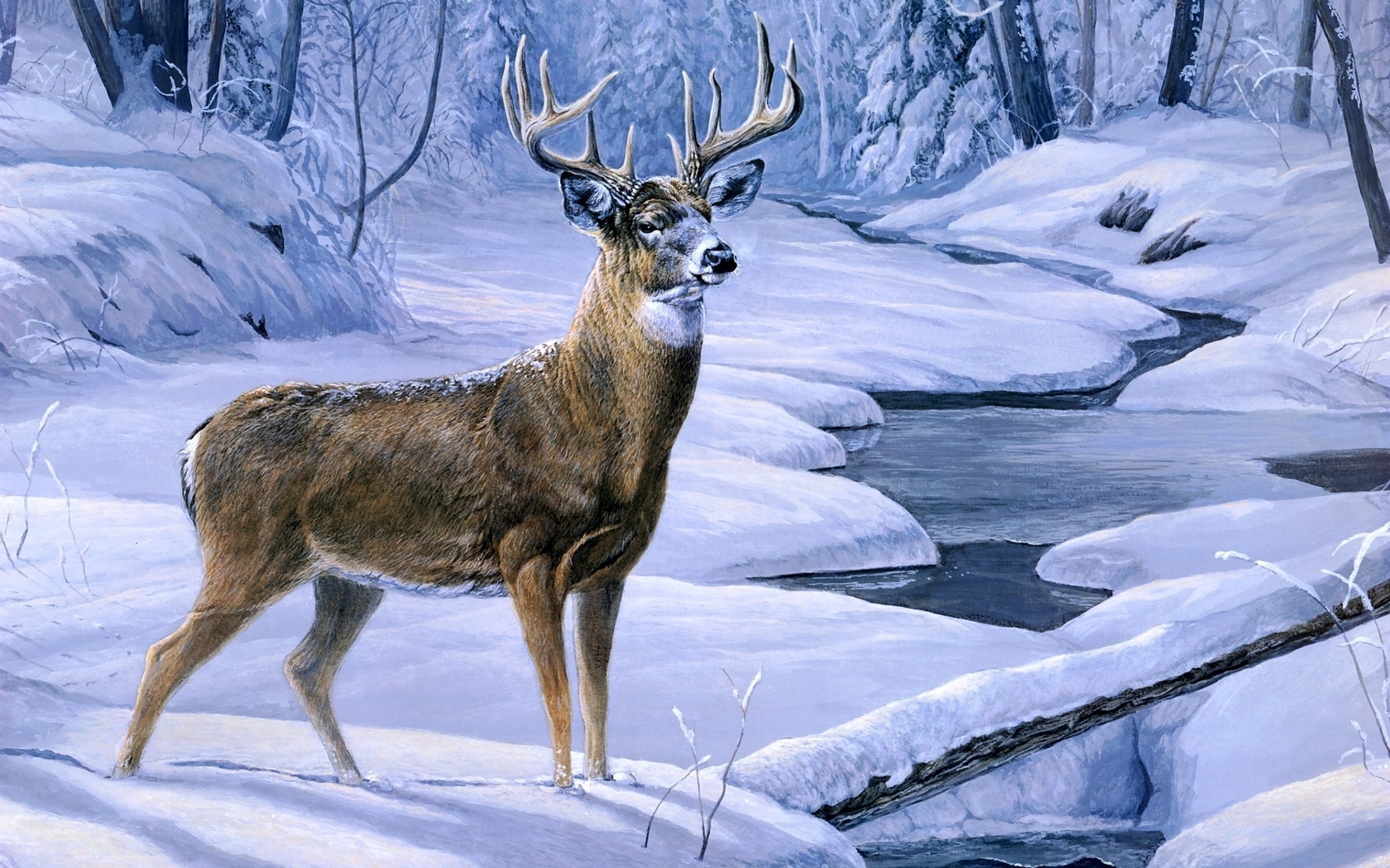 , deer, creek, Laura mark finberg, winter, animal, snow, november snow, painting, forest