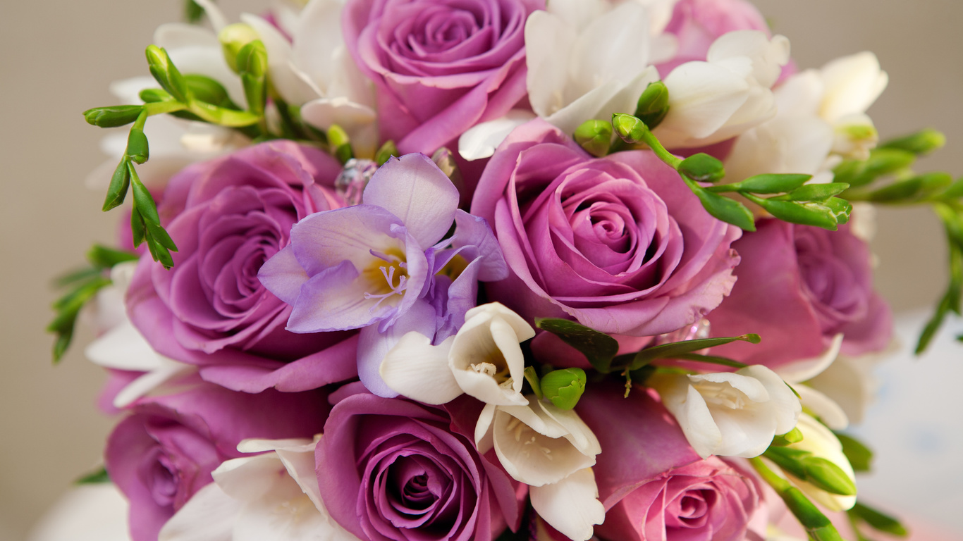 , , , , bouquet, Violet flowers, roses