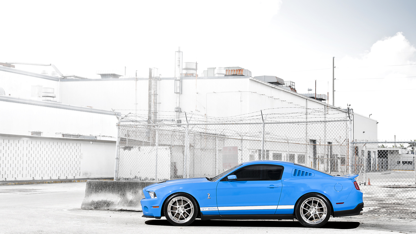 gt500, shelby, , , blue, mustang, , , Ford