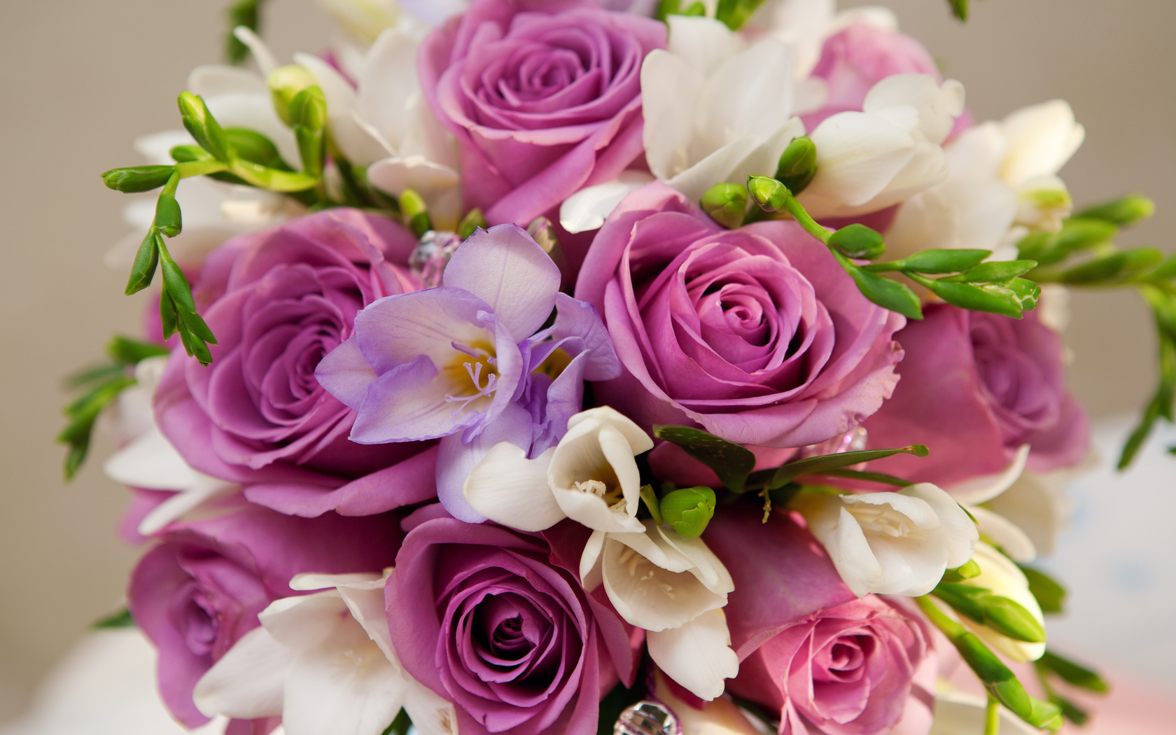, , , , bouquet, Violet flowers, roses
