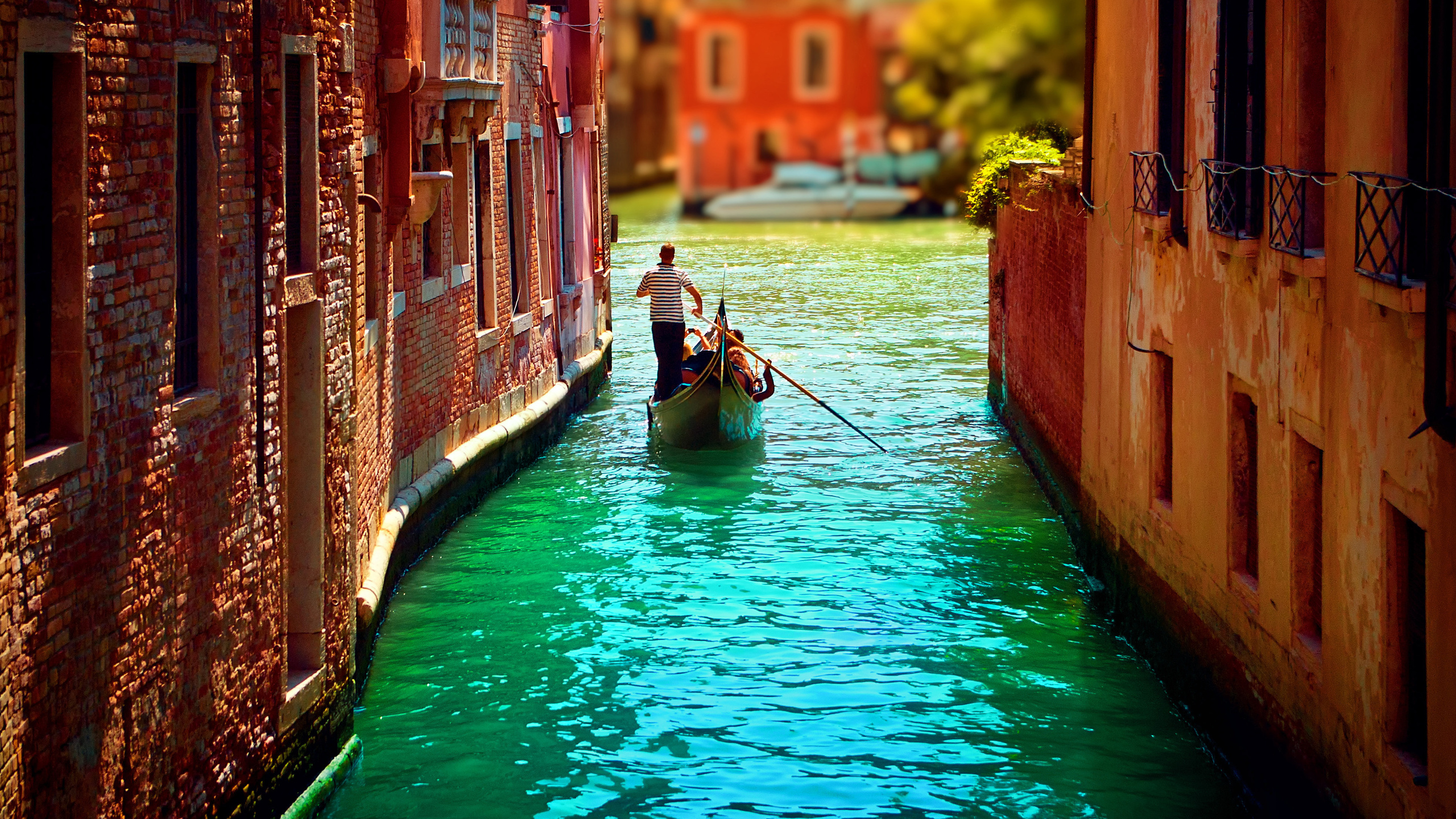 , italy, , , venice, , , 