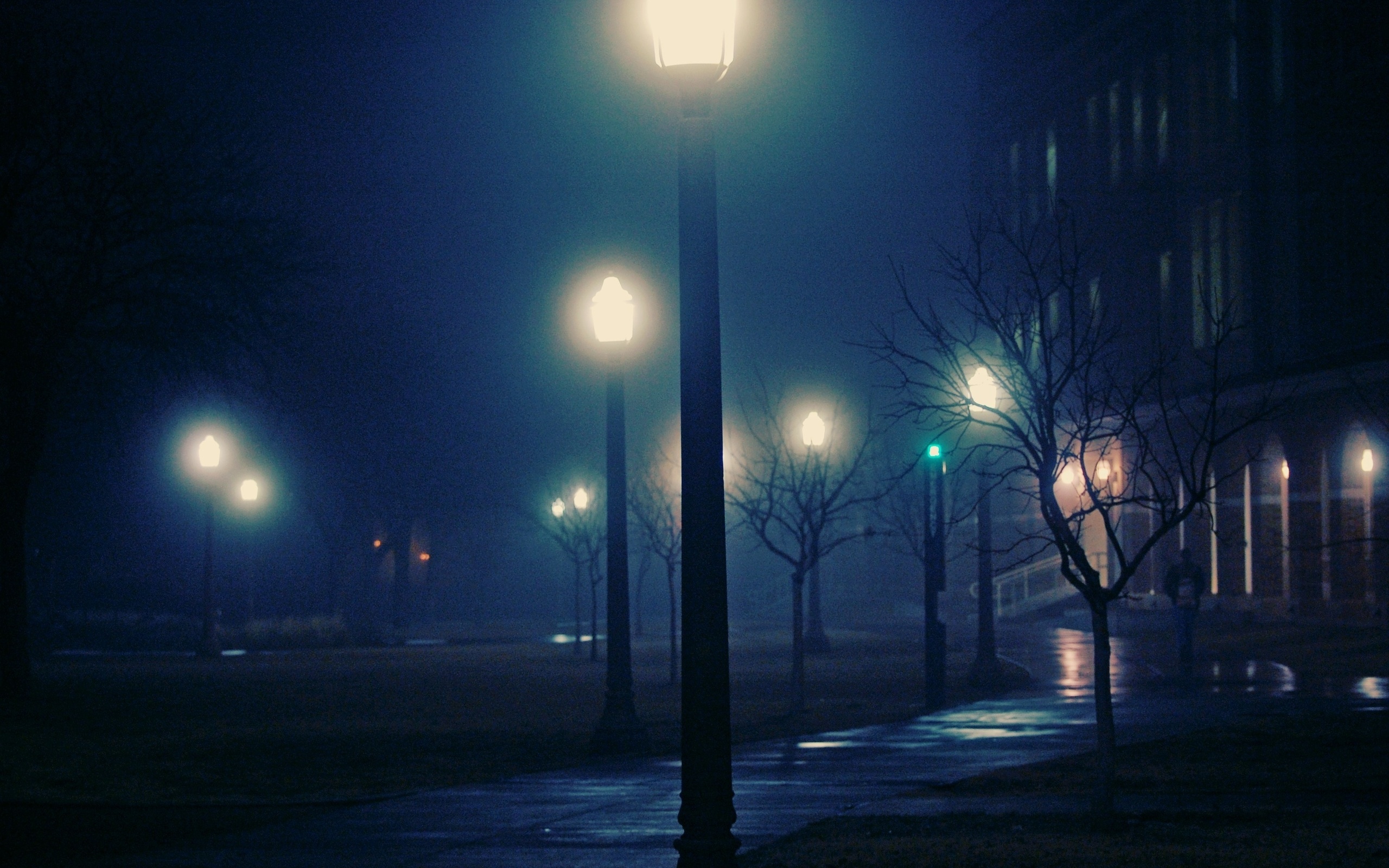 night, , , , , foggy