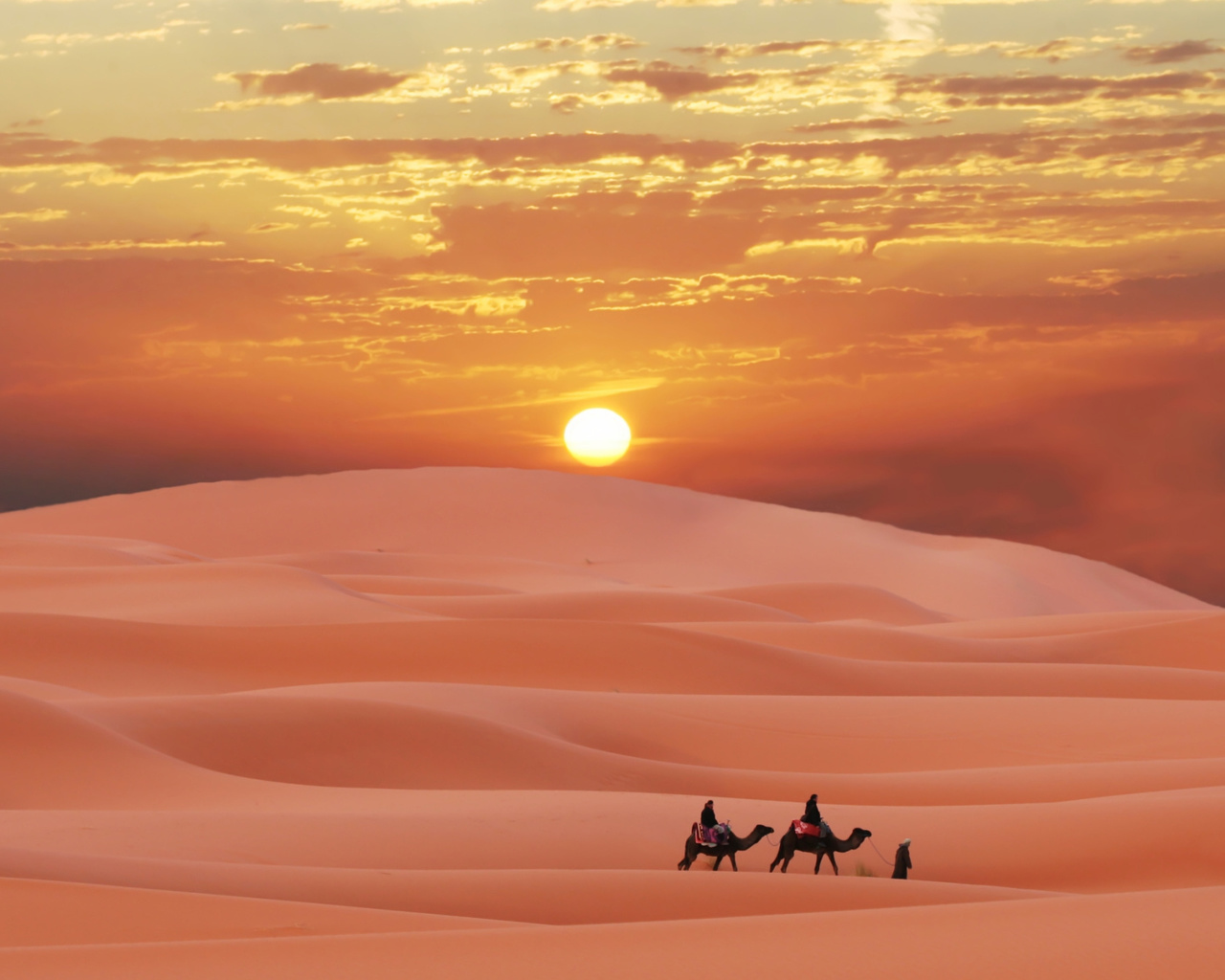 , , , , , , caravan in sahara, desert, morocco, berber