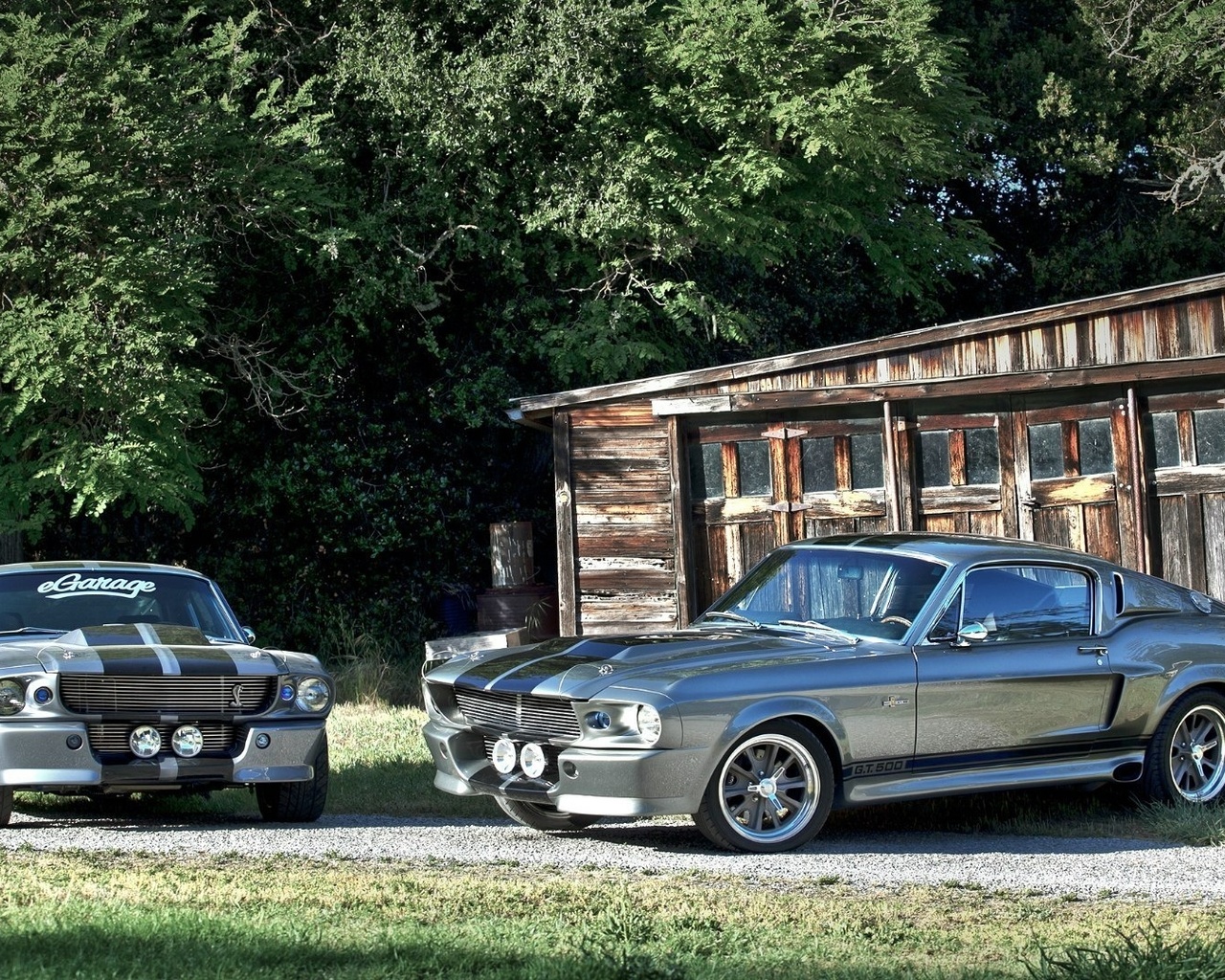 Ford mustang, gt500,  , shelby eleanor
