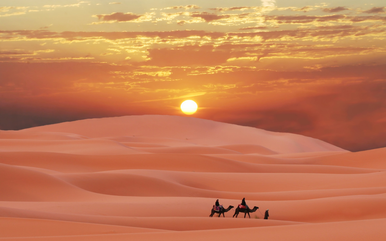 , , , , , , caravan in sahara, desert, morocco, berber