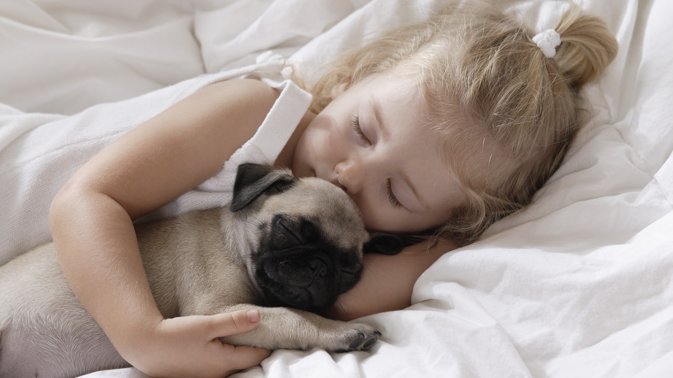 childhood, children, dog, Little girl,  , child, pet, sleeping