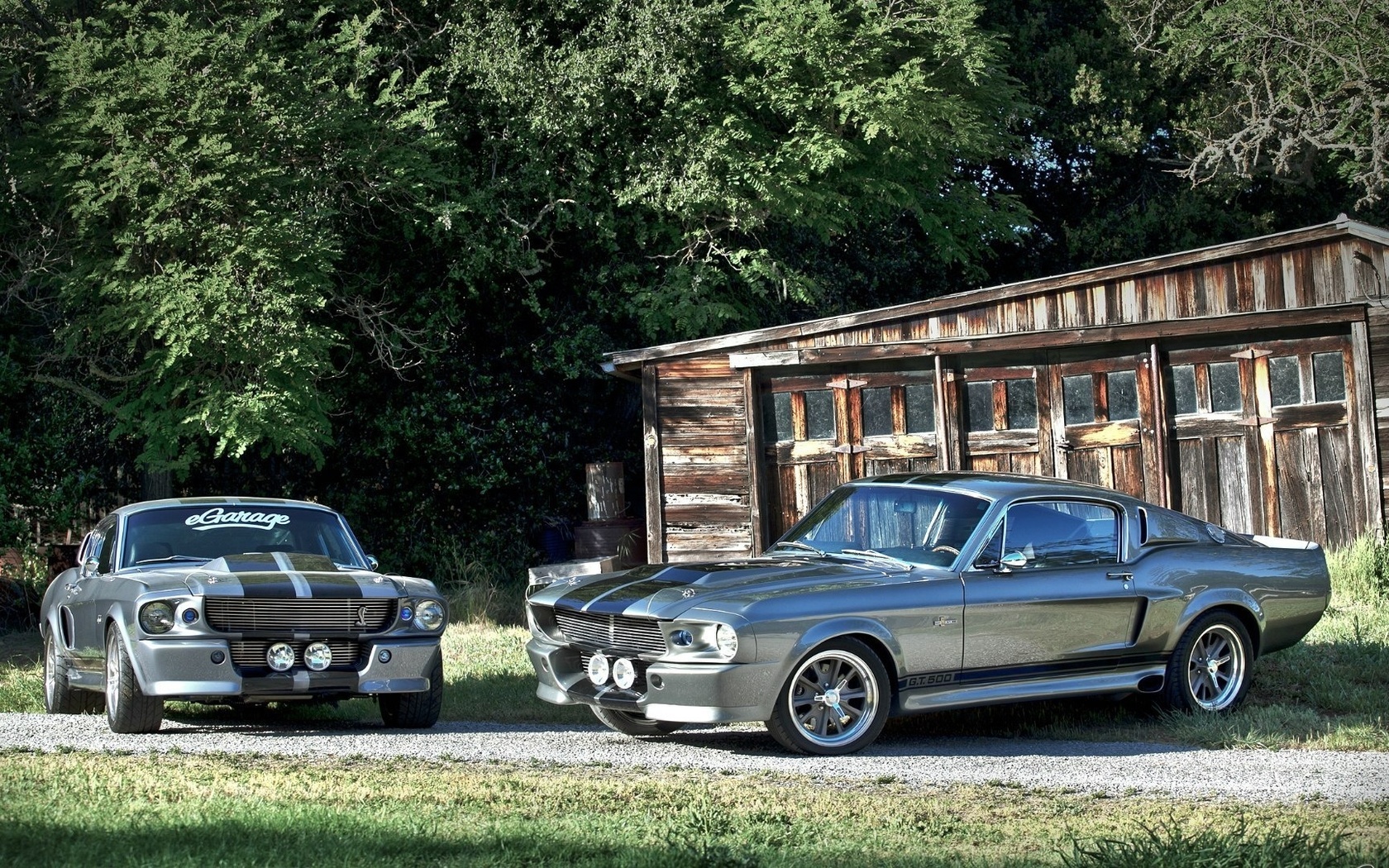 Ford mustang, gt500,  , shelby eleanor