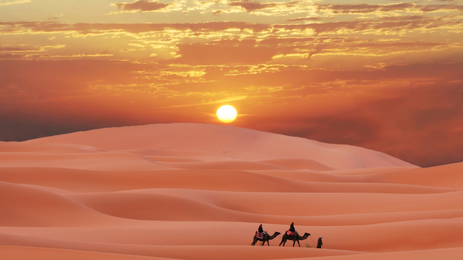 , , , , , , caravan in sahara, desert, morocco, berber