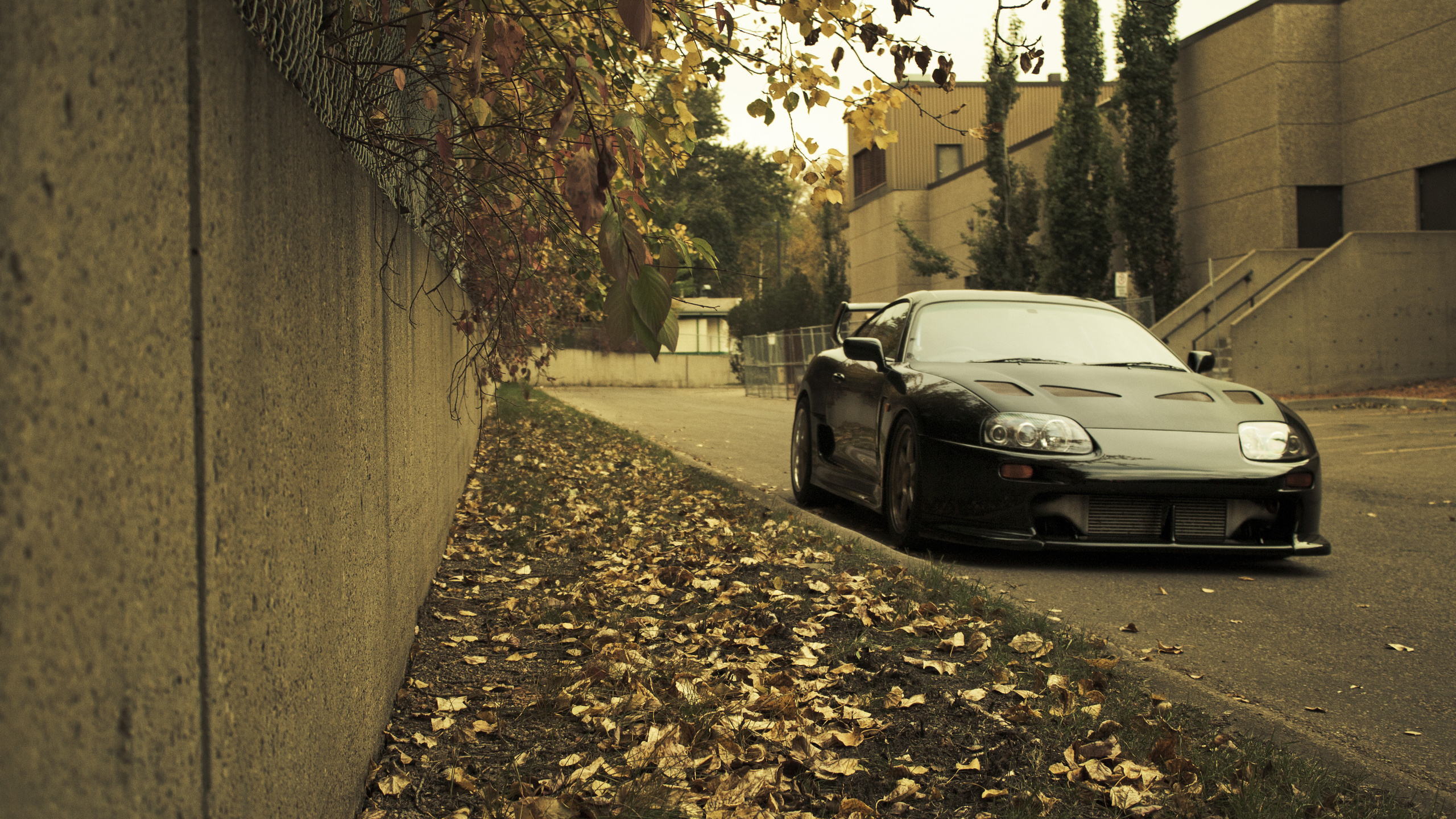 , Auto, toyota, toyota supra, cars, c, city,  , wallpapers auto