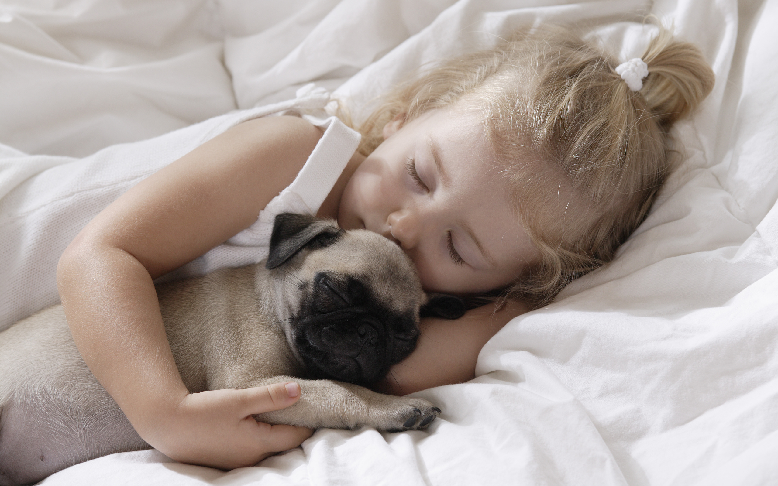 childhood, children, dog, Little girl,  , child, pet, sleeping