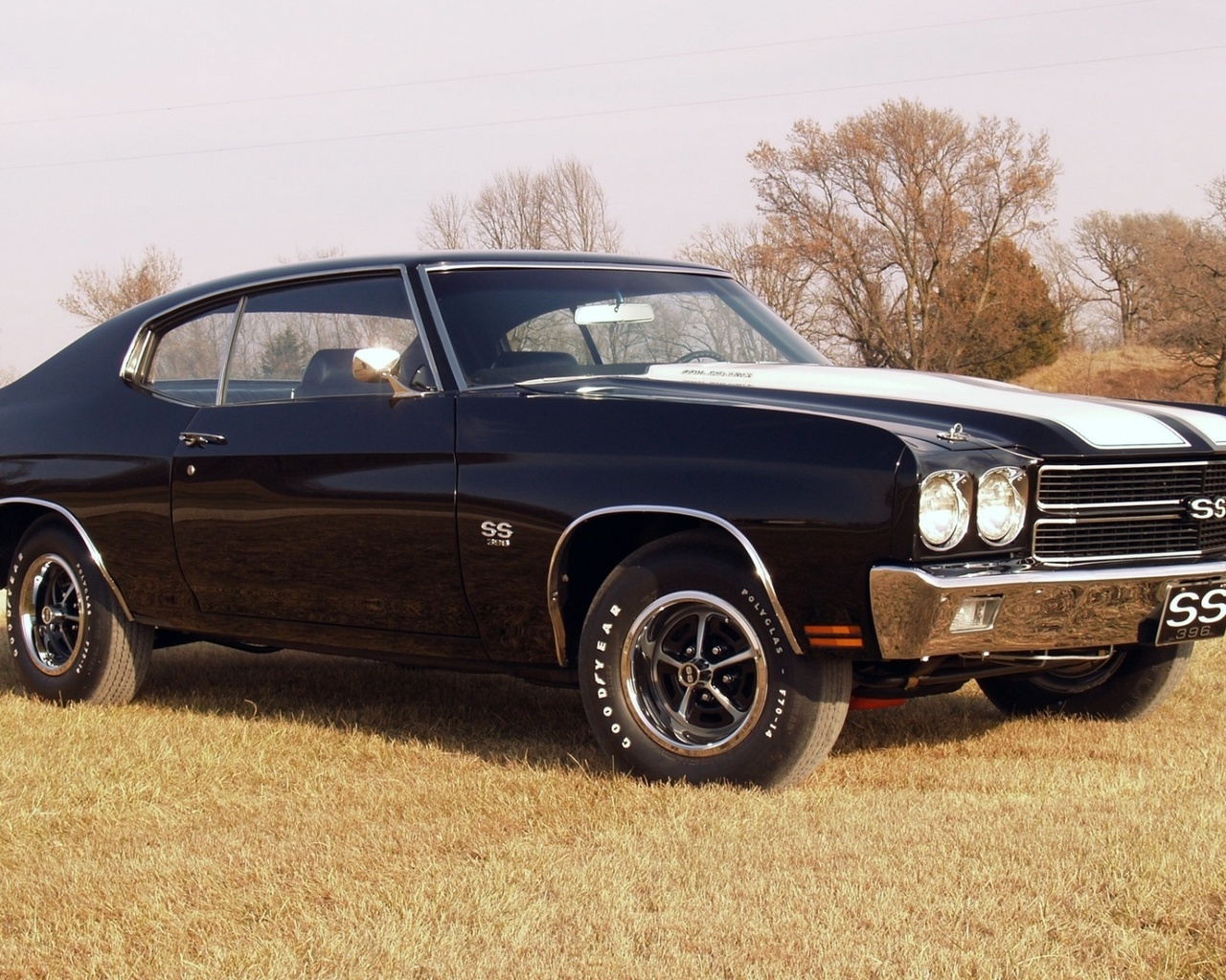 hardtop, Chevrolet, , 1970, 396, , chevelle, coupe, ss, 